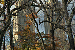 061103 New York 2006 - Photo 0500