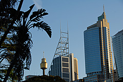 070131 Sydney 2007 - Photo 0220