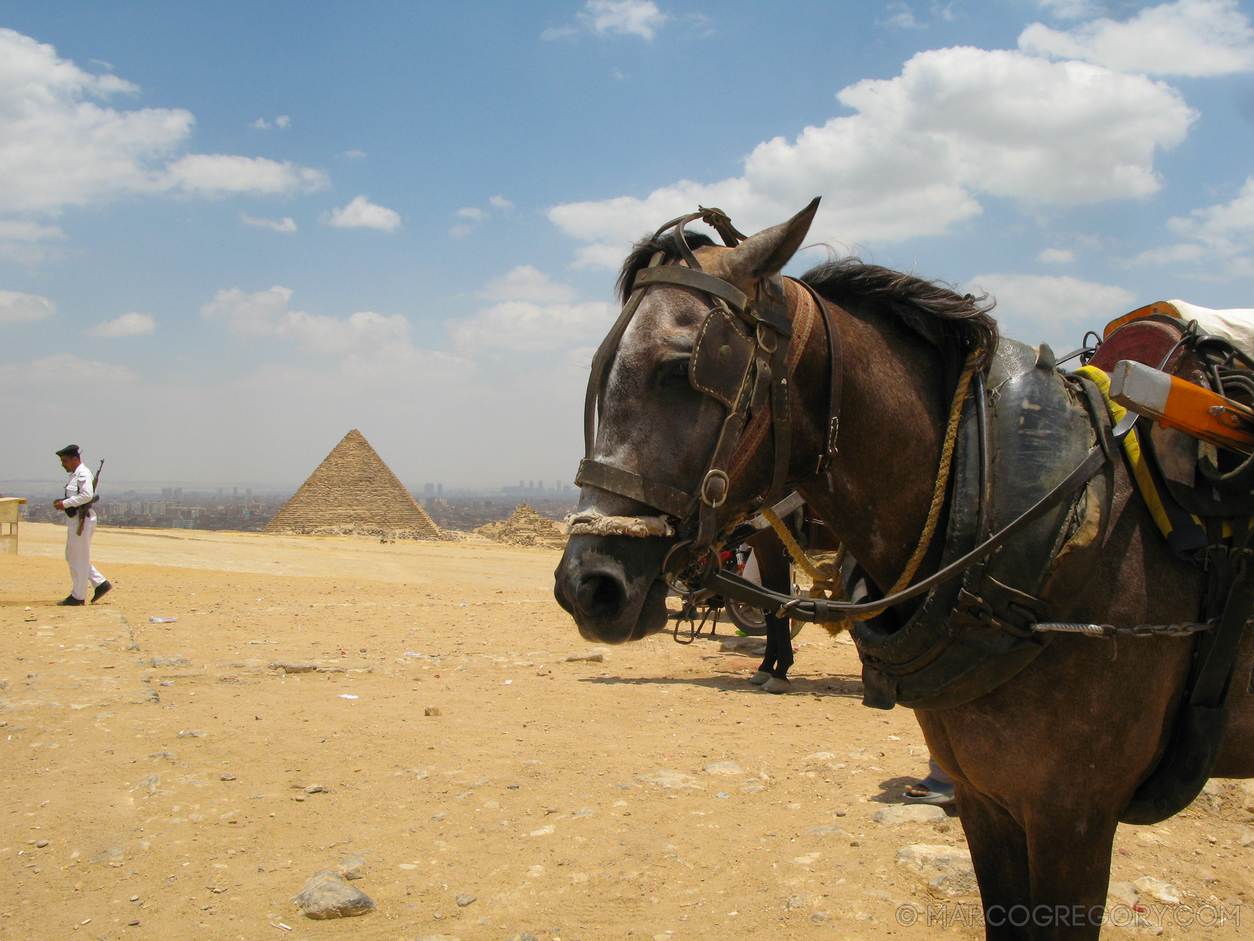 100624 Cairo 2010 - Photo0009 of 29