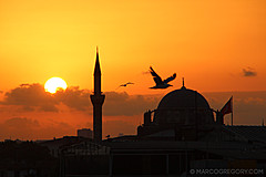 110722 Istanbul 2011 - Photo 0133