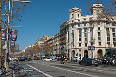 190301 Barcelona 2019 - Photo 0015