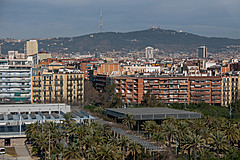 190301 Barcelona 2019 - Photo 0138