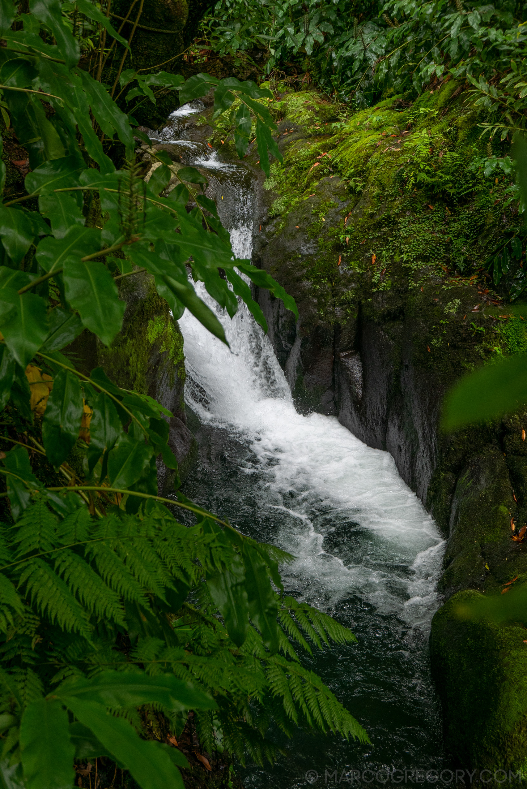 190916 Azores and Lisbon - Photo0204 of 513