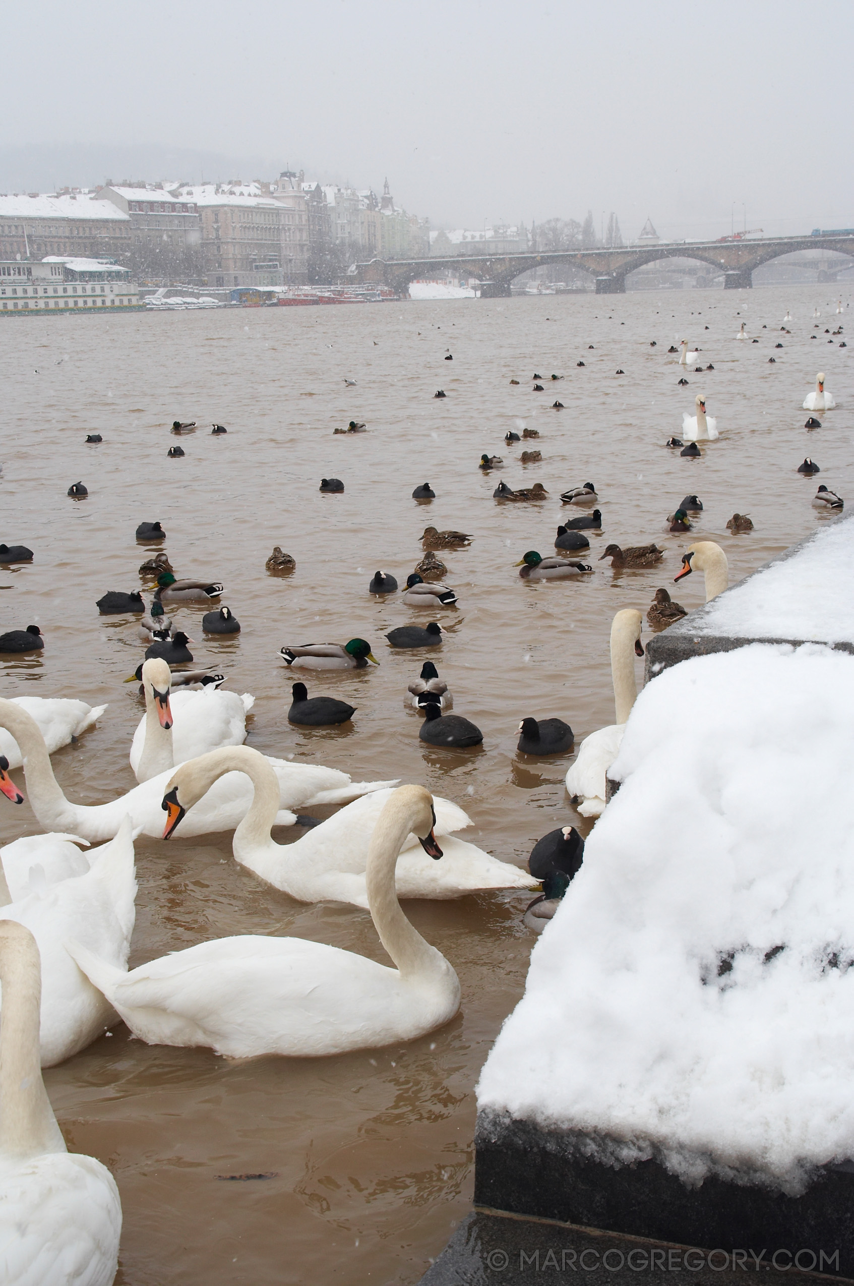 060312 Prague Winter - Photo0007 of 85