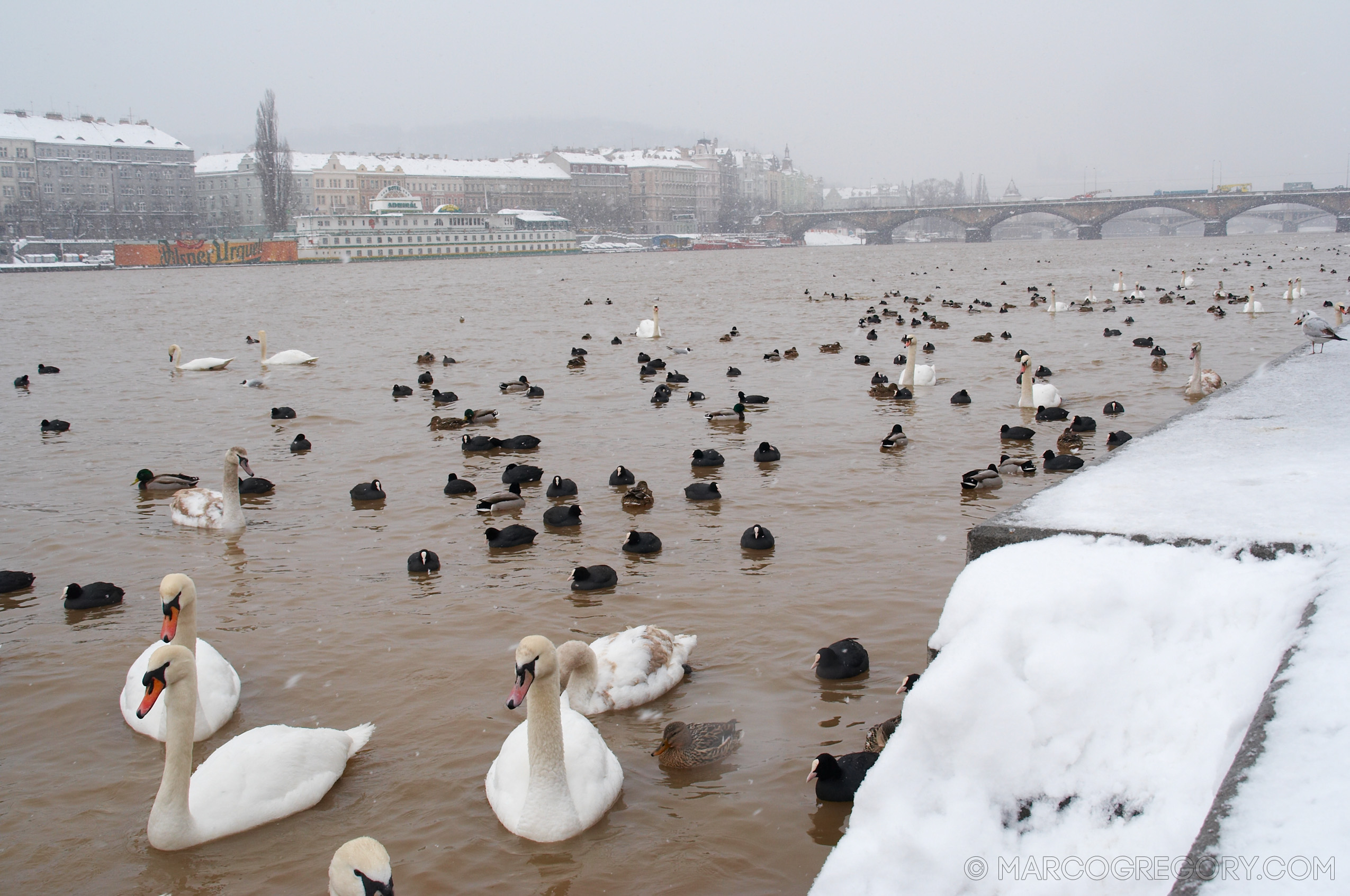 060312 Prague Winter - Photo0011 of 85