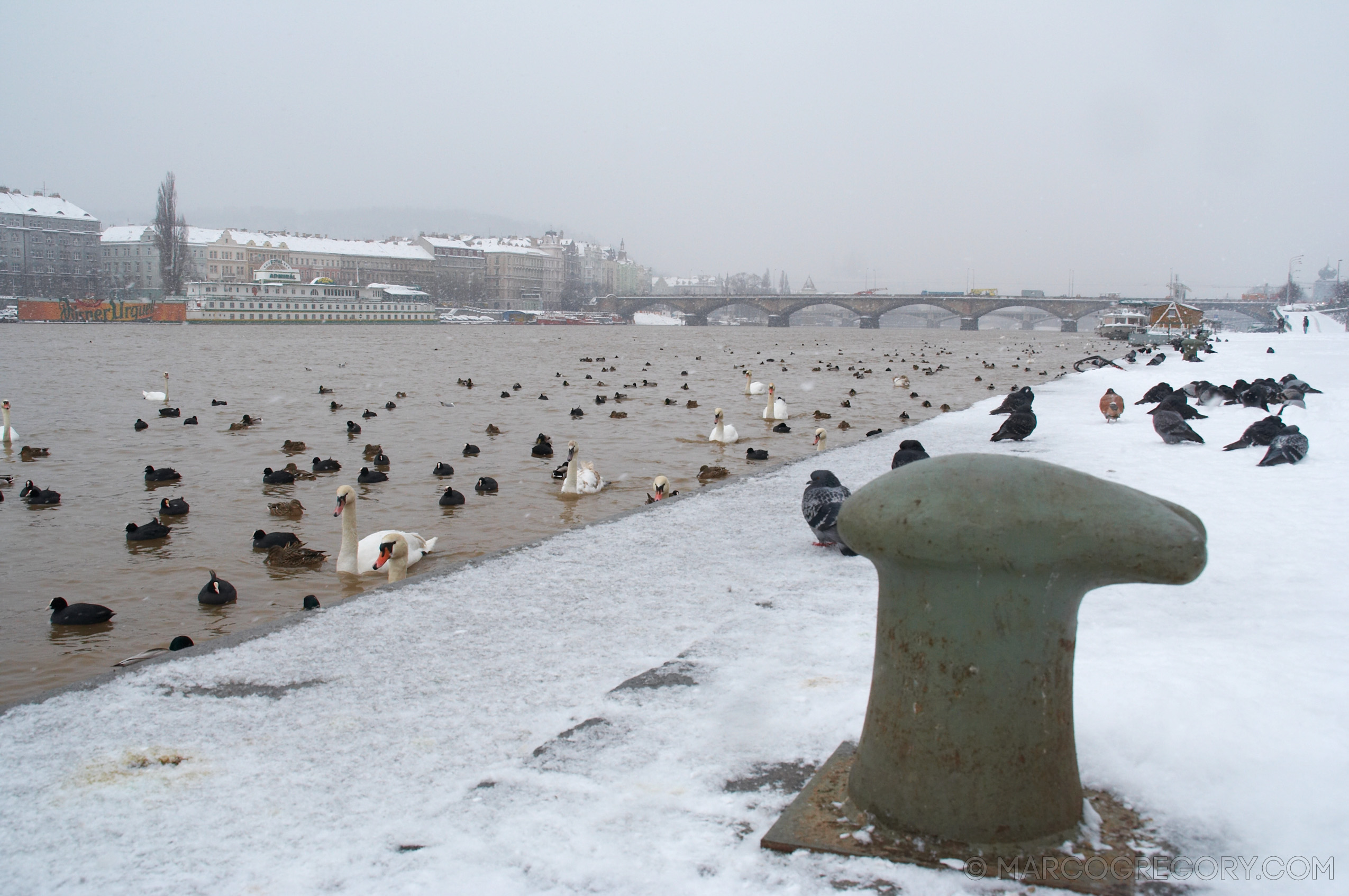 060312 Prague Winter - Photo0012 of 85