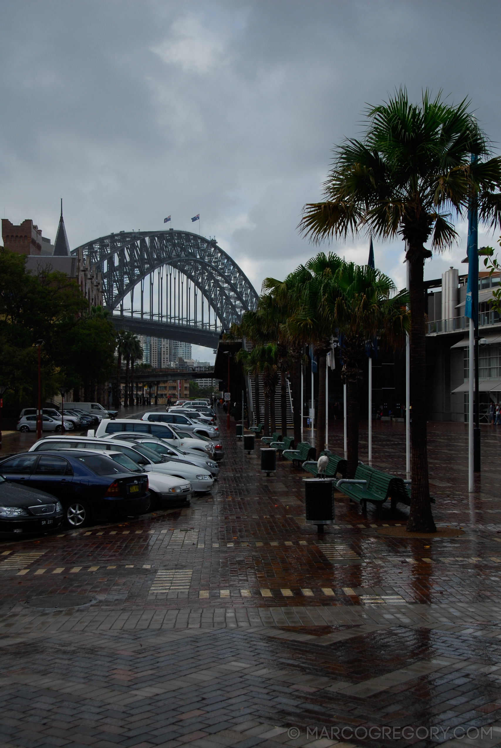 070131 Sydney 2007 - Photo0005 of 626