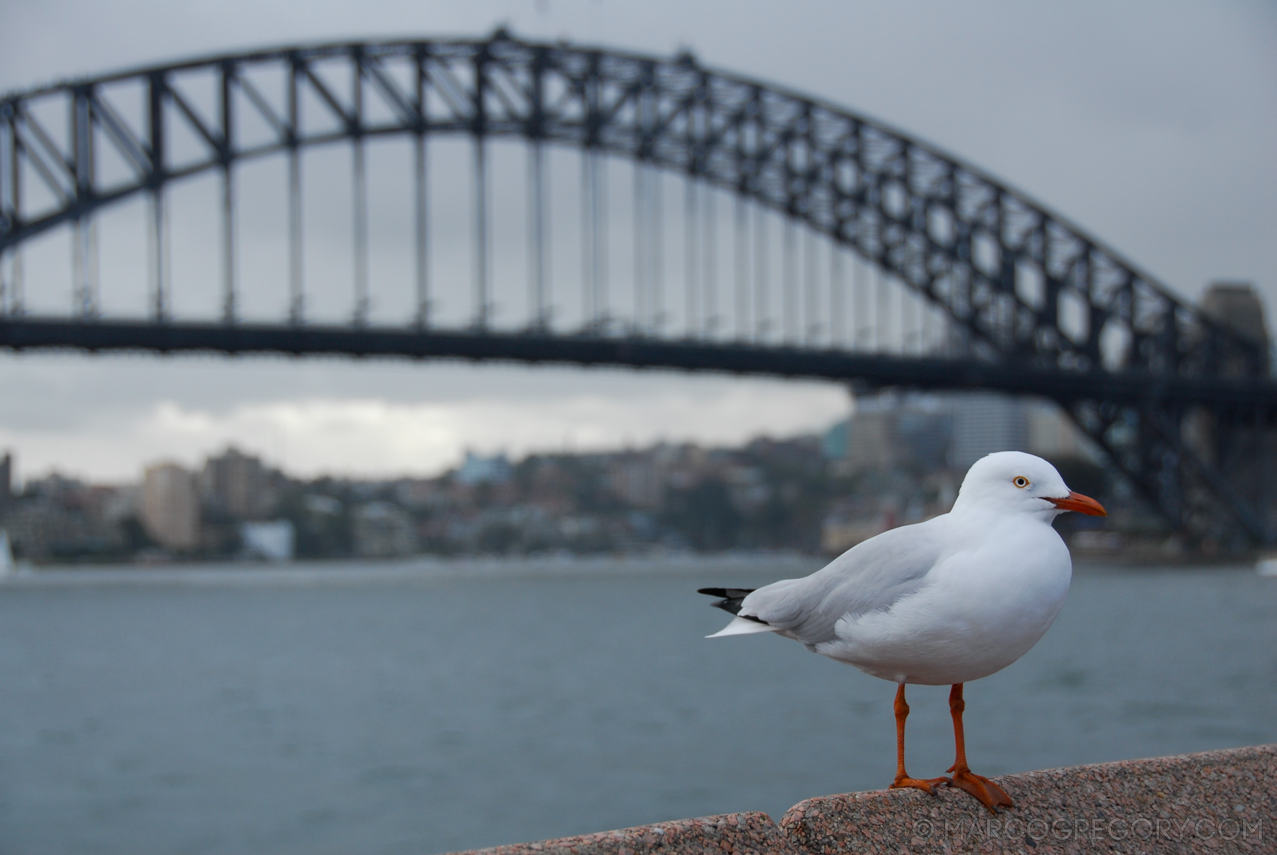 070131 Sydney 2007 - Photo0526 of 626