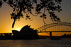 070131 Sydney 2007 - Photo 0229