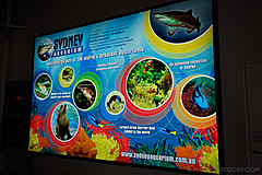 070131 Sydney 2007 - Photo 0327
