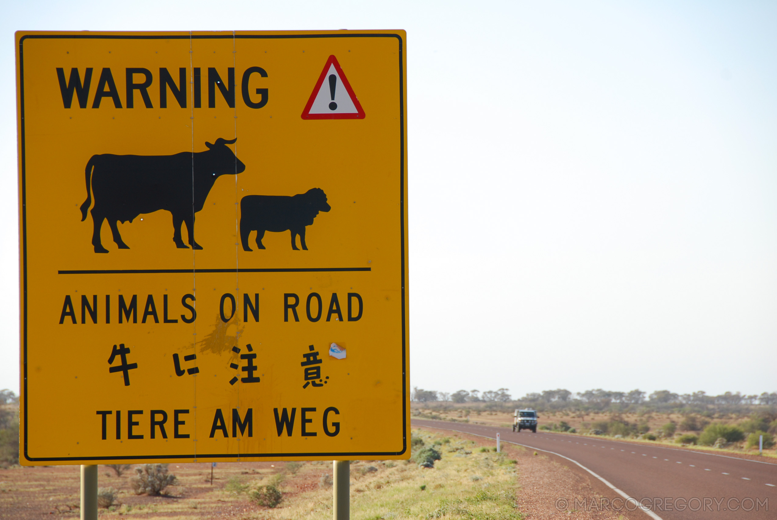 070226 Australia 2007 - Photo0442 of 1241