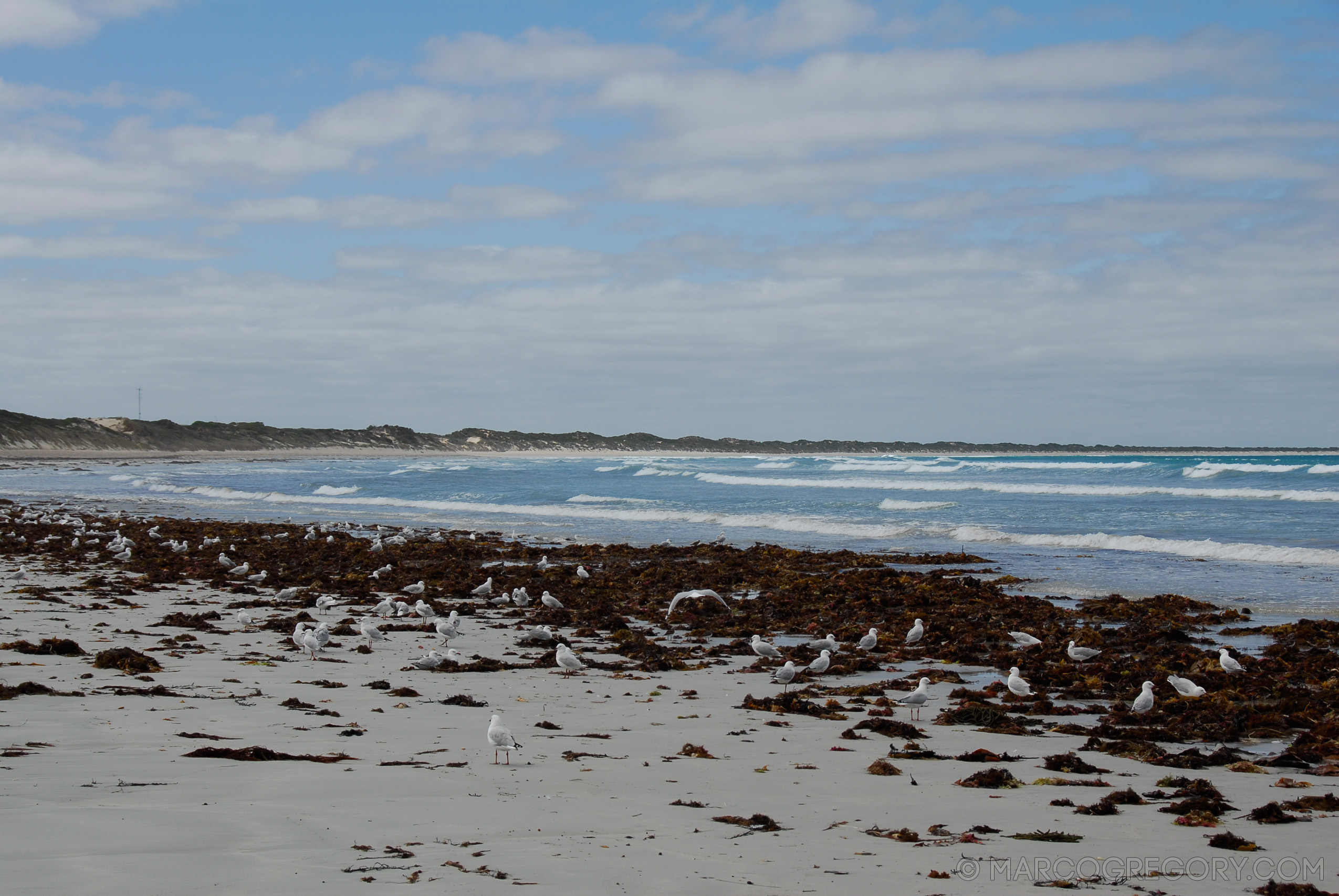 070226 Australia 2007 - Photo0573 of 1241