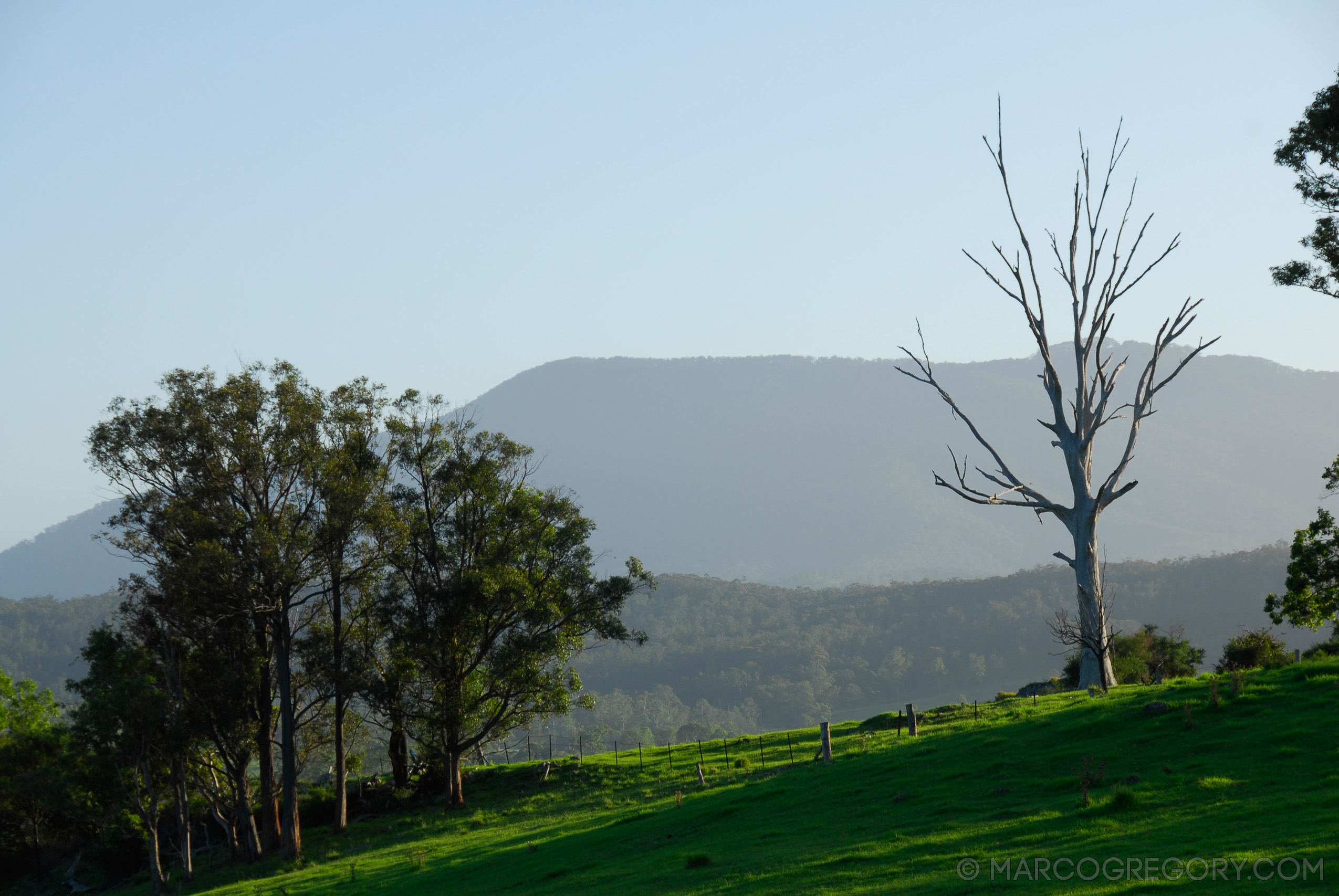 070226 Australia 2007 - Photo1061 of 1241