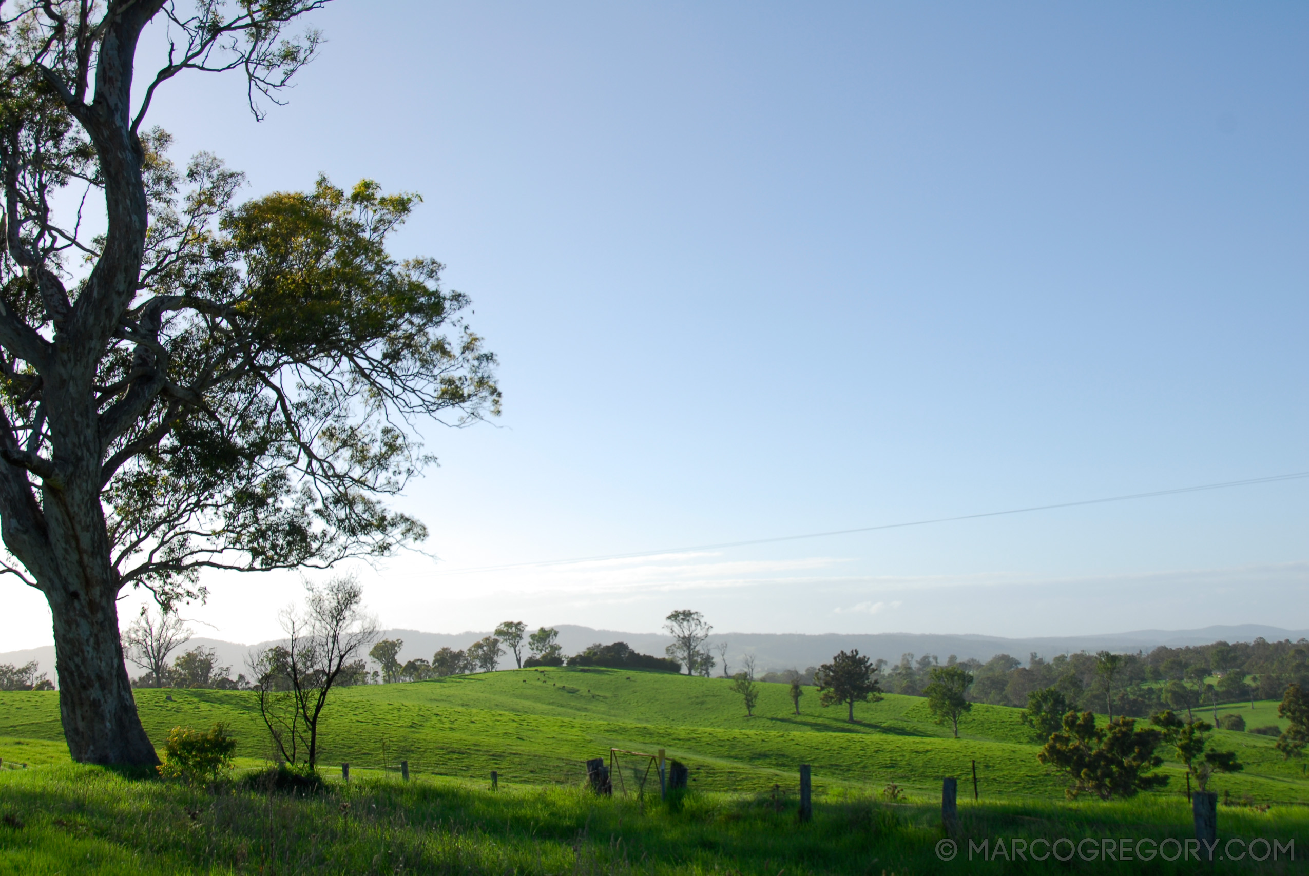 070226 Australia 2007 - Photo1066 of 1241