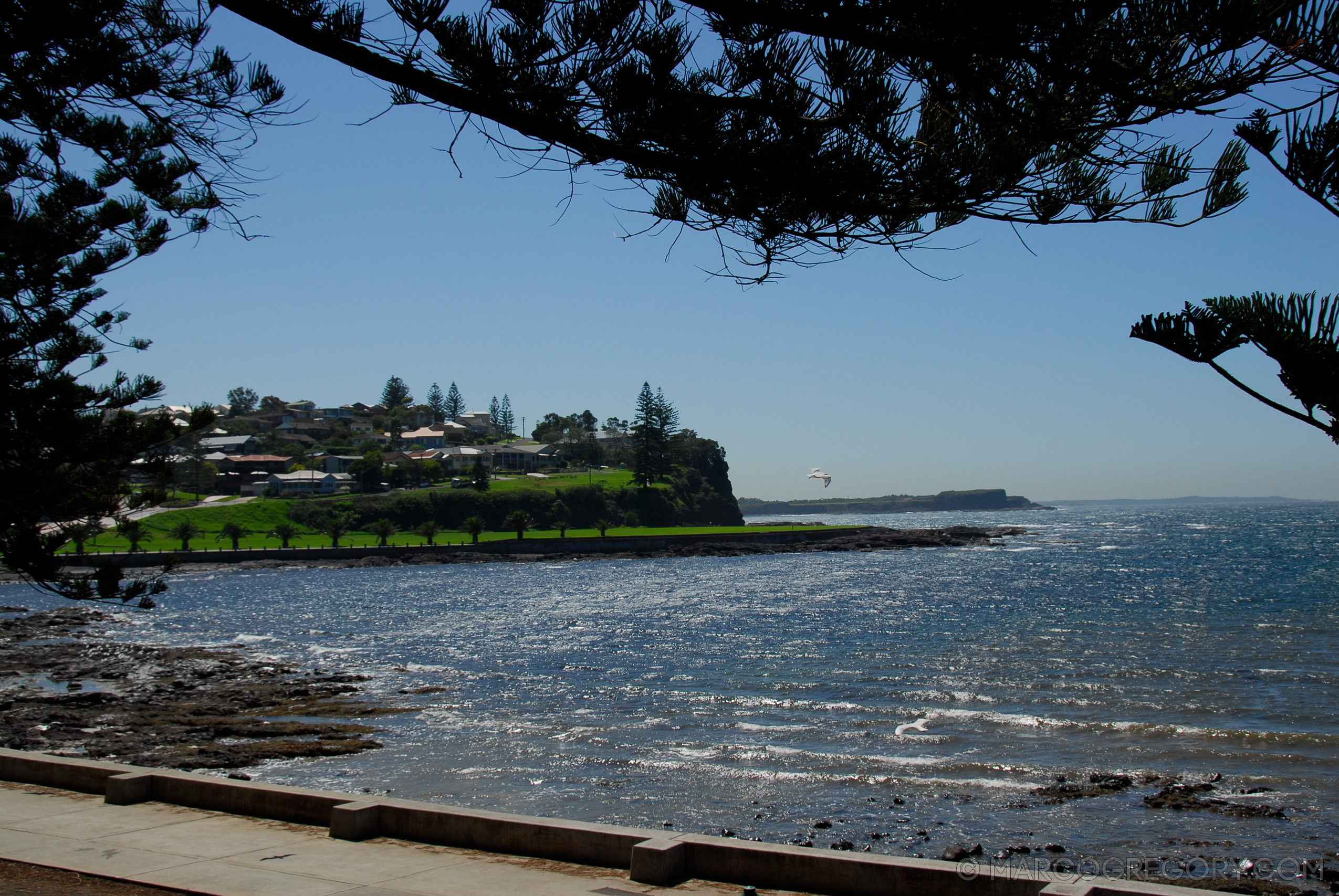 070226 Australia 2007 - Photo1185 of 1241