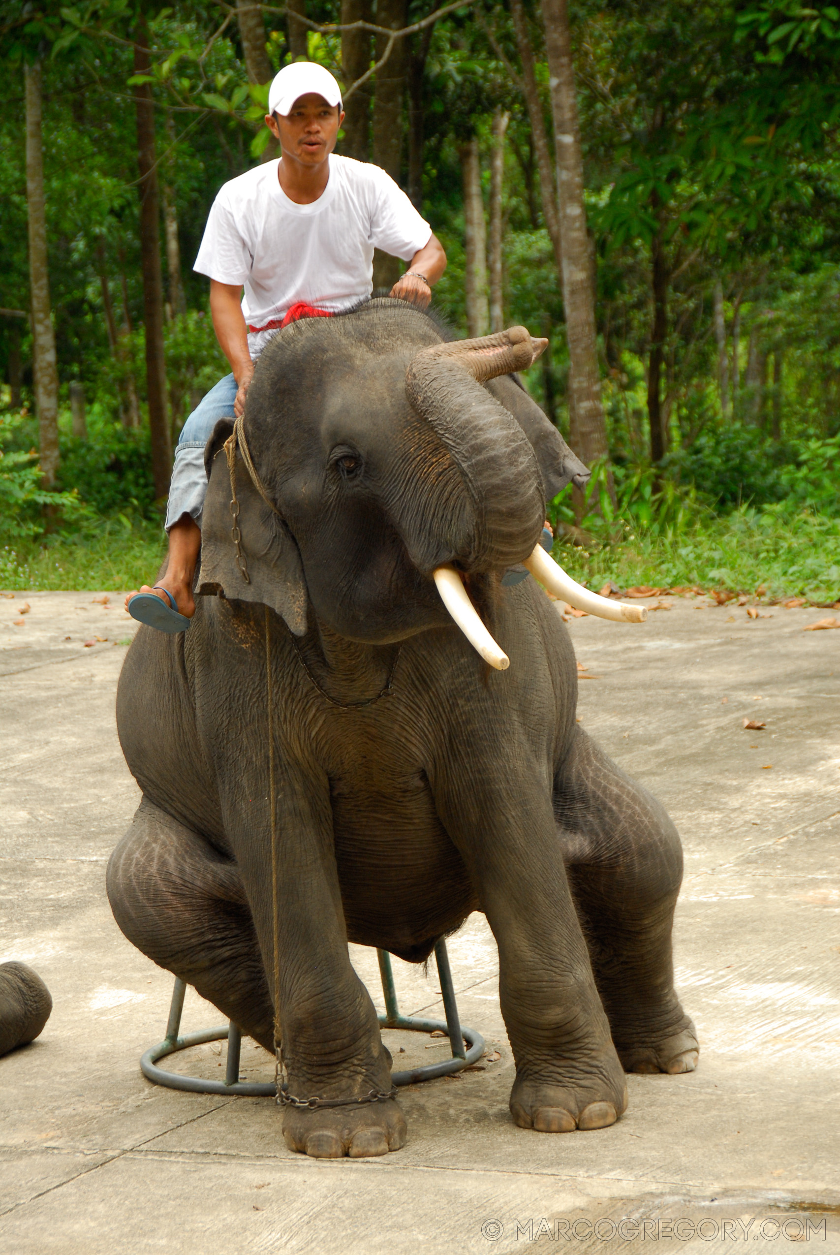 070626 Thailand 2007 - Photo0151 of 323