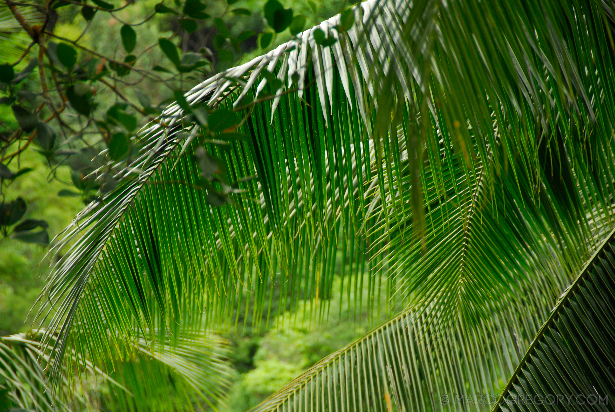 070626 Thailand 2007 - Photo0167 of 323