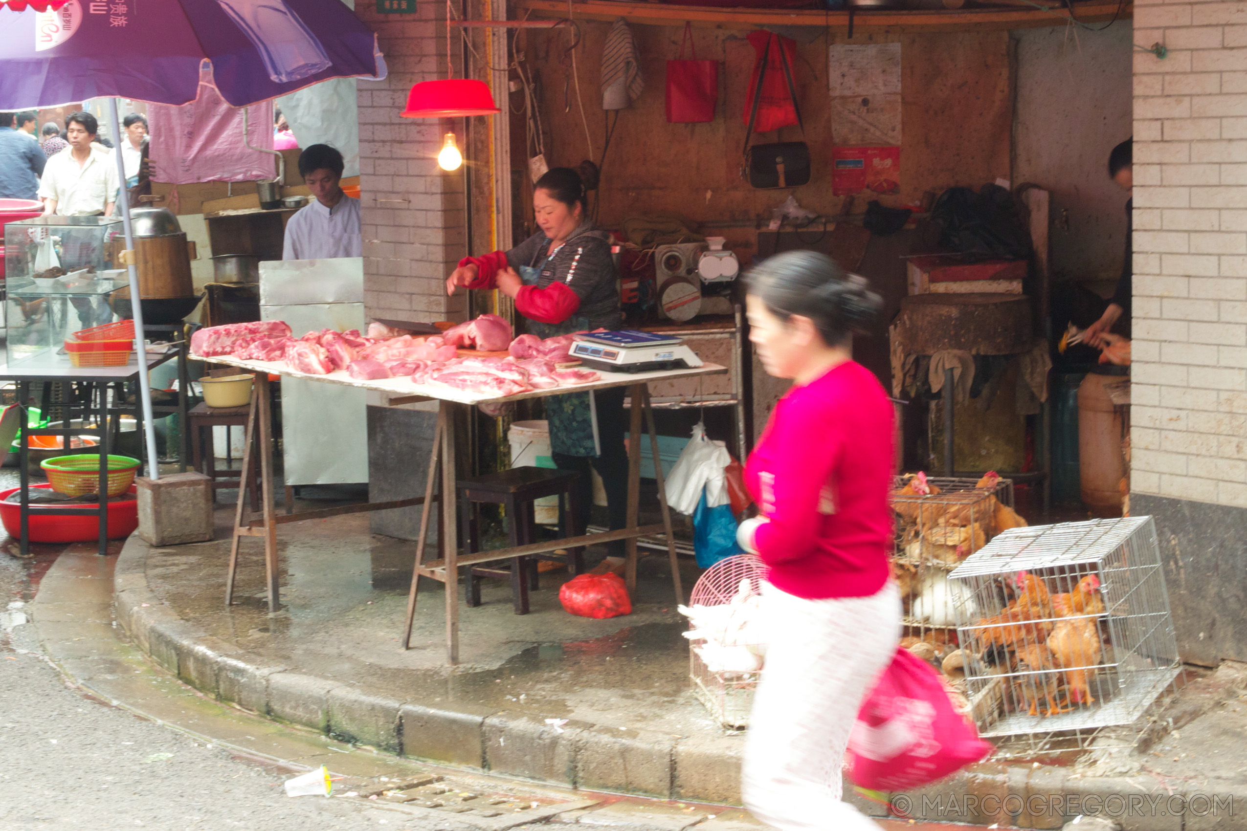 110526 China 2011 - Photo0299 of 706