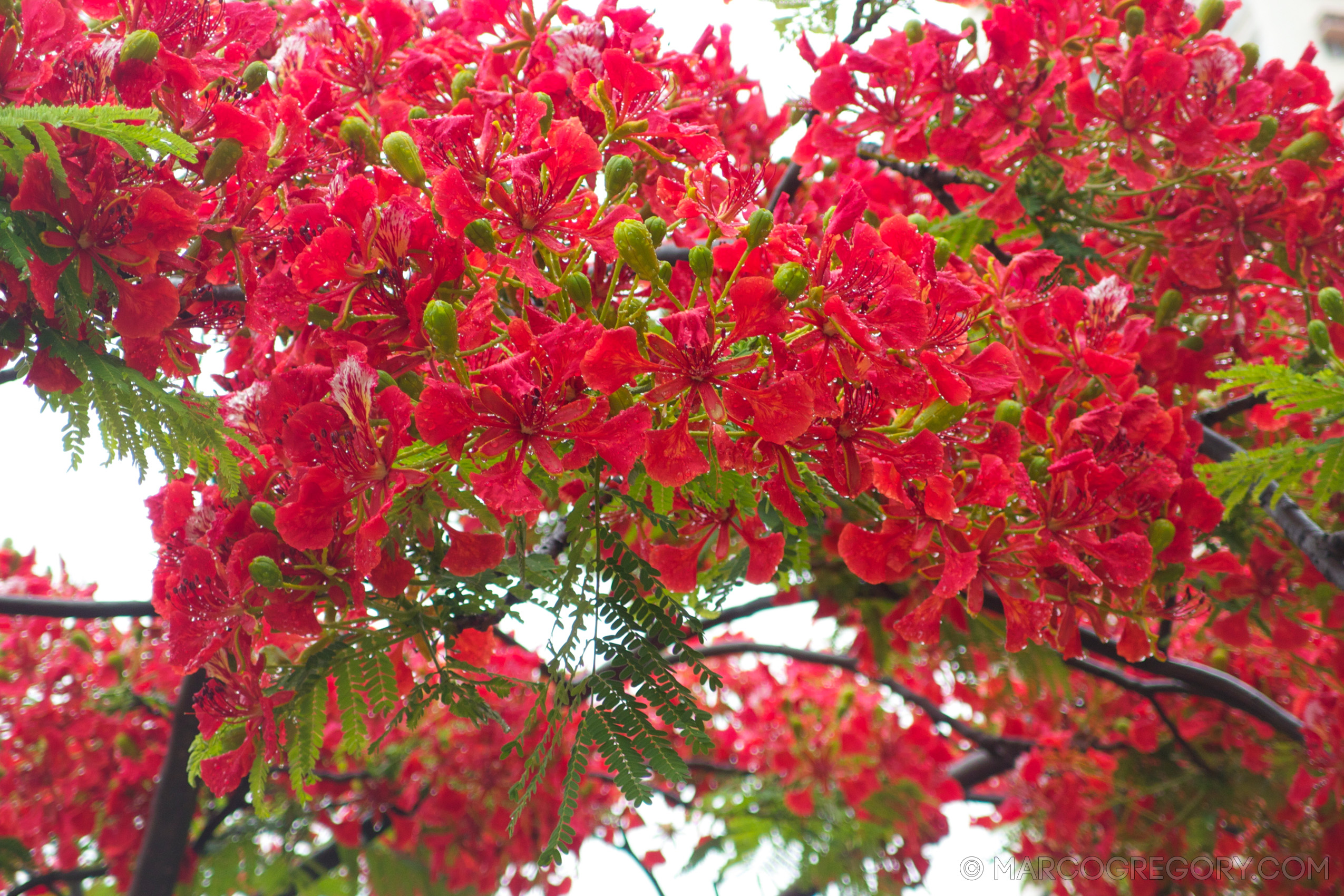 110526 China 2011 - Photo0659 of 706