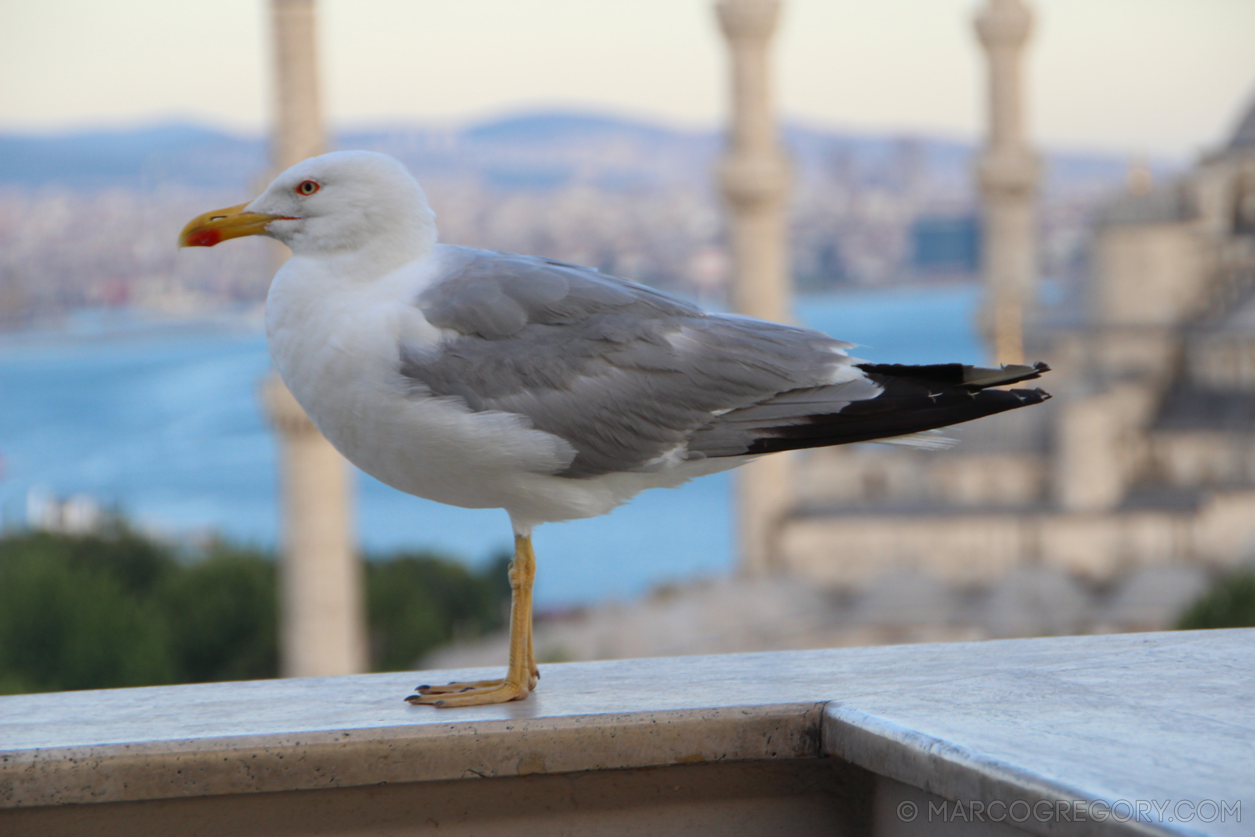 110722 Istanbul 2011 - Photo0056 of 160