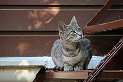 110722 Istanbul 2011 - Photo 0003