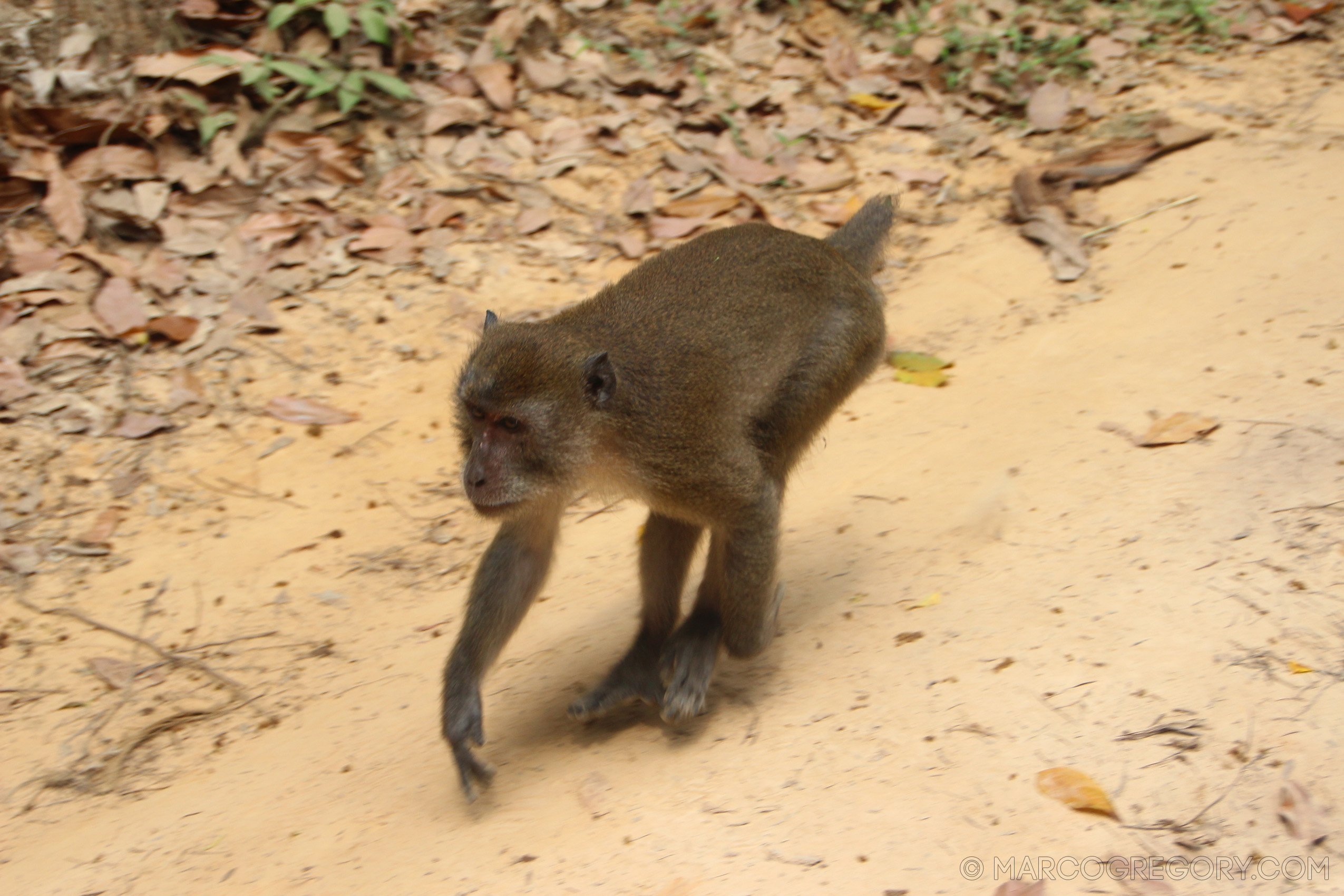 150117 Thailand 2015 - Photo0206 of 351