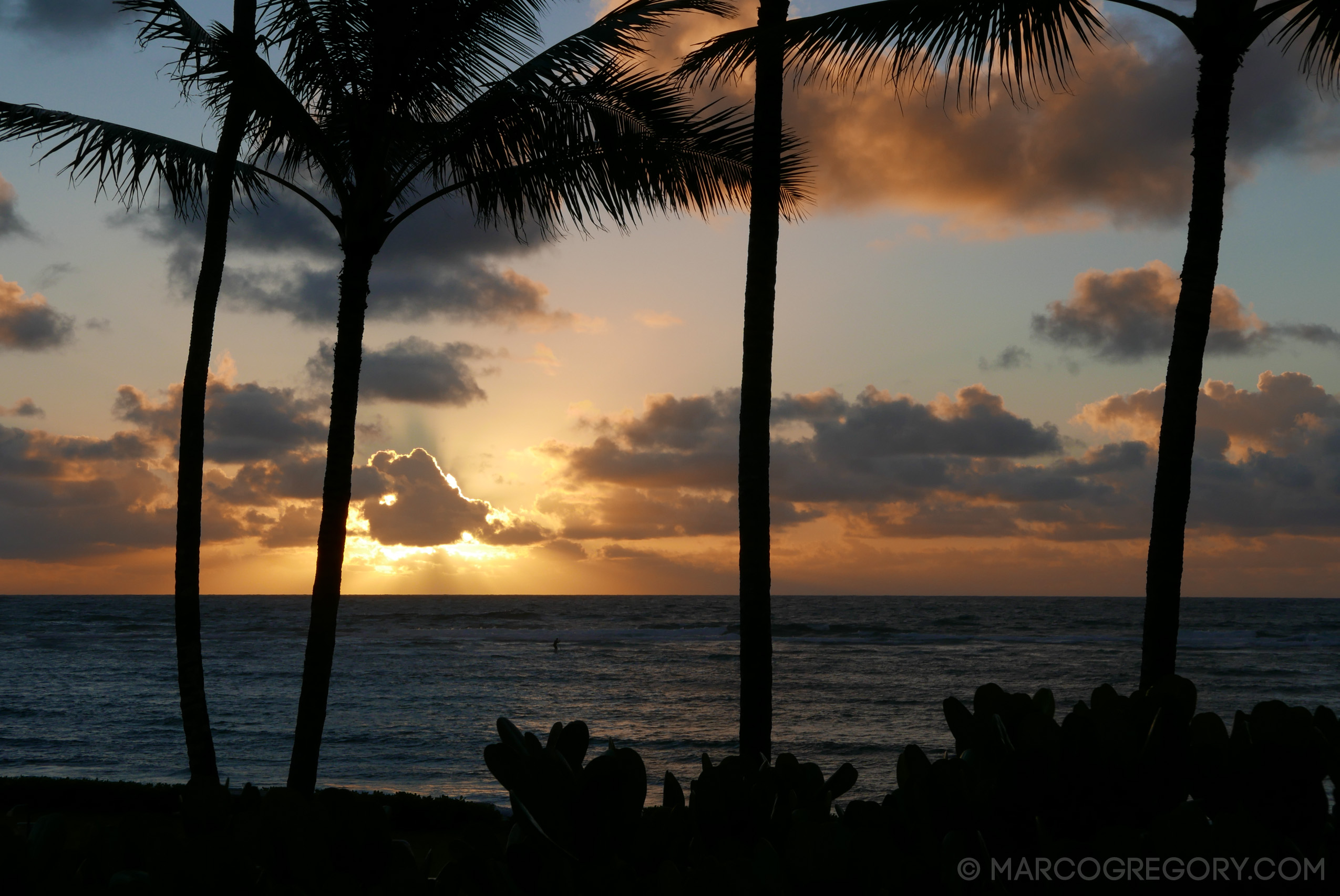 151006 Hawaii 2015 - Photo0031 of 852