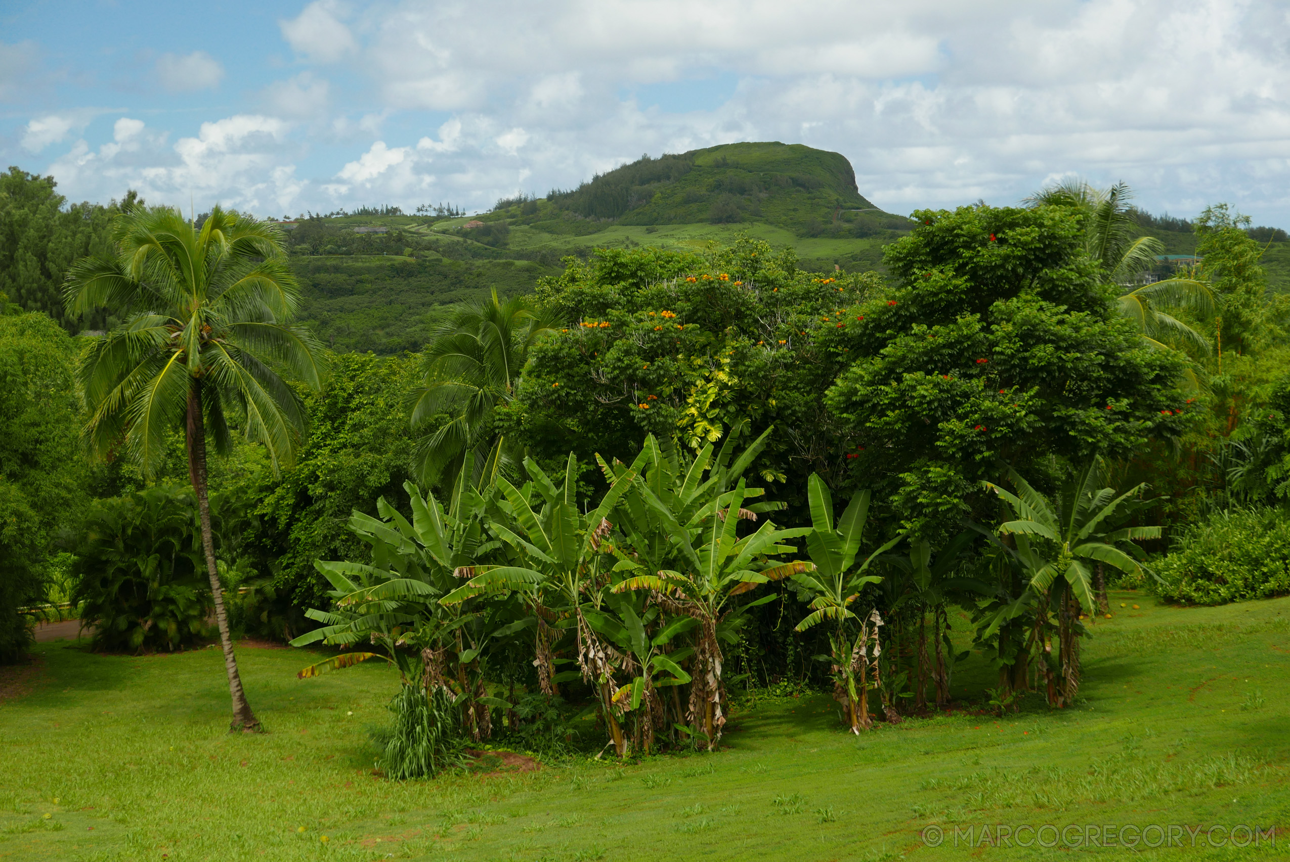 151006 Hawaii 2015 - Photo0049 of 852