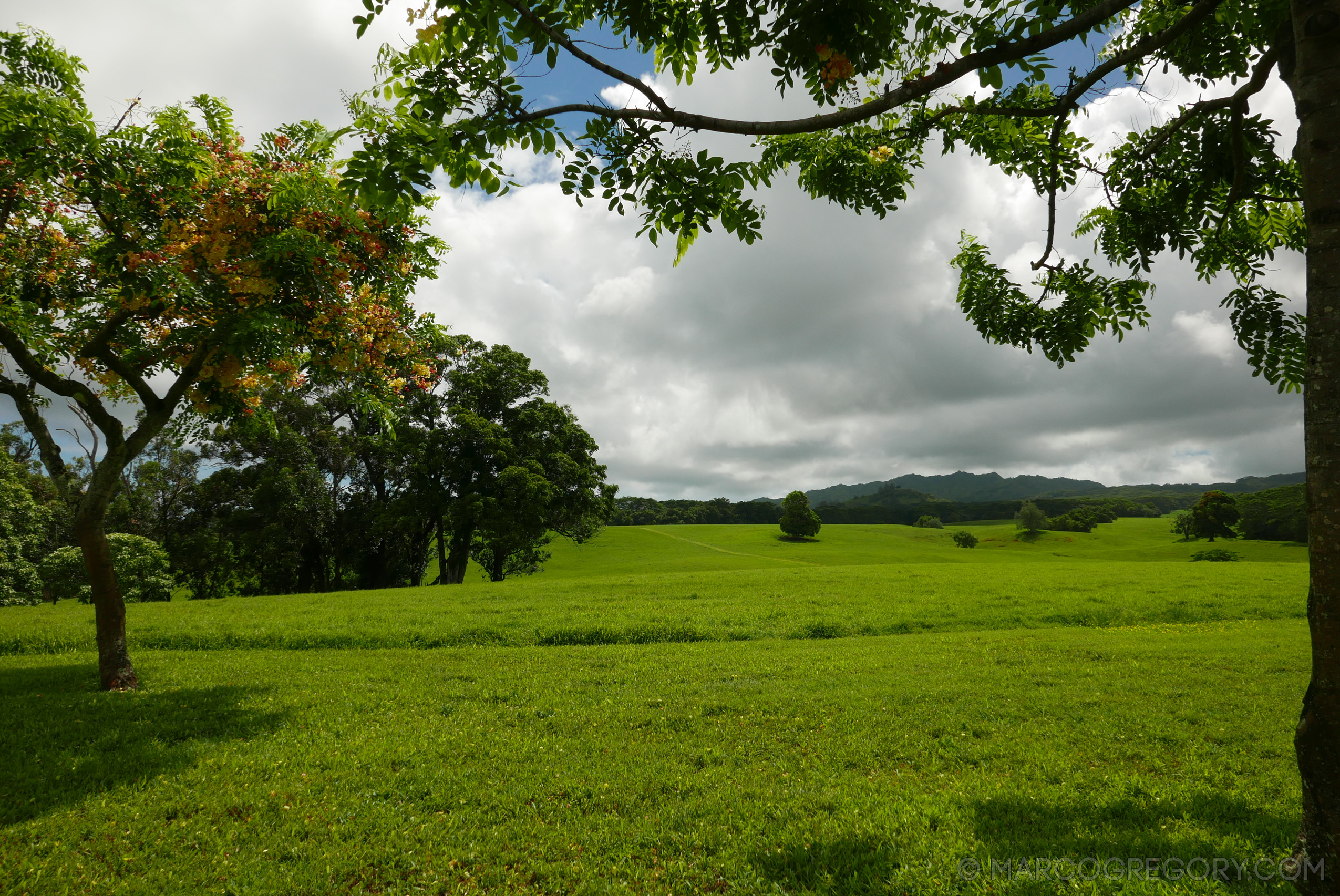 151006 Hawaii 2015 - Photo0050 of 852