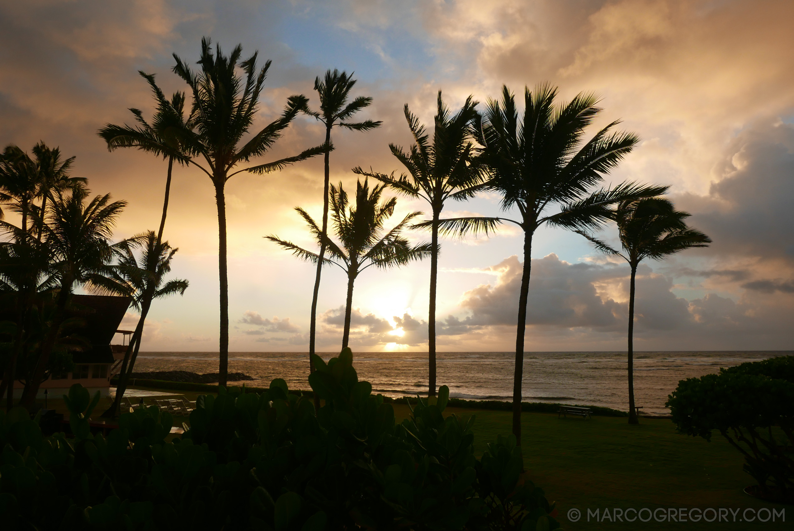 151006 Hawaii 2015 - Photo0113 of 852