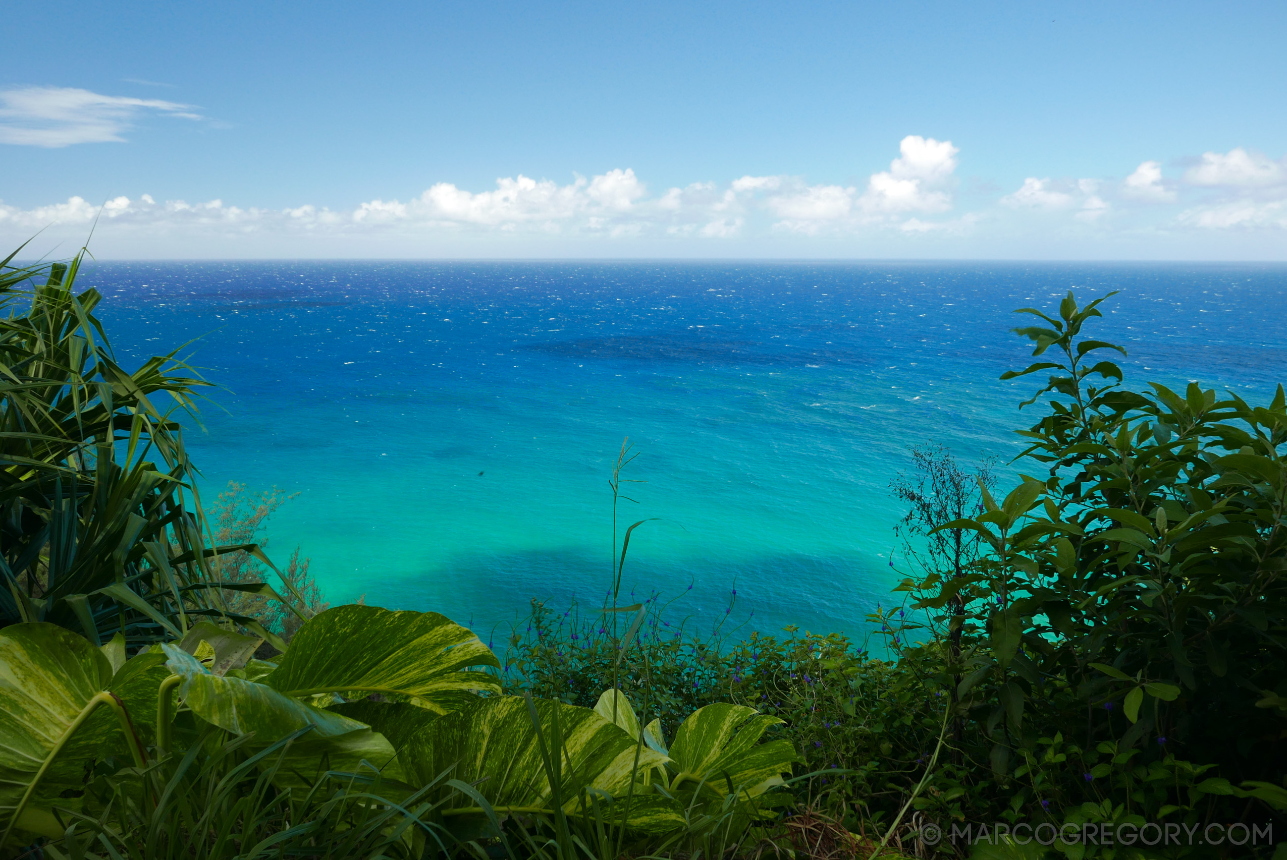 151006 Hawaii 2015 - Photo0125 of 852