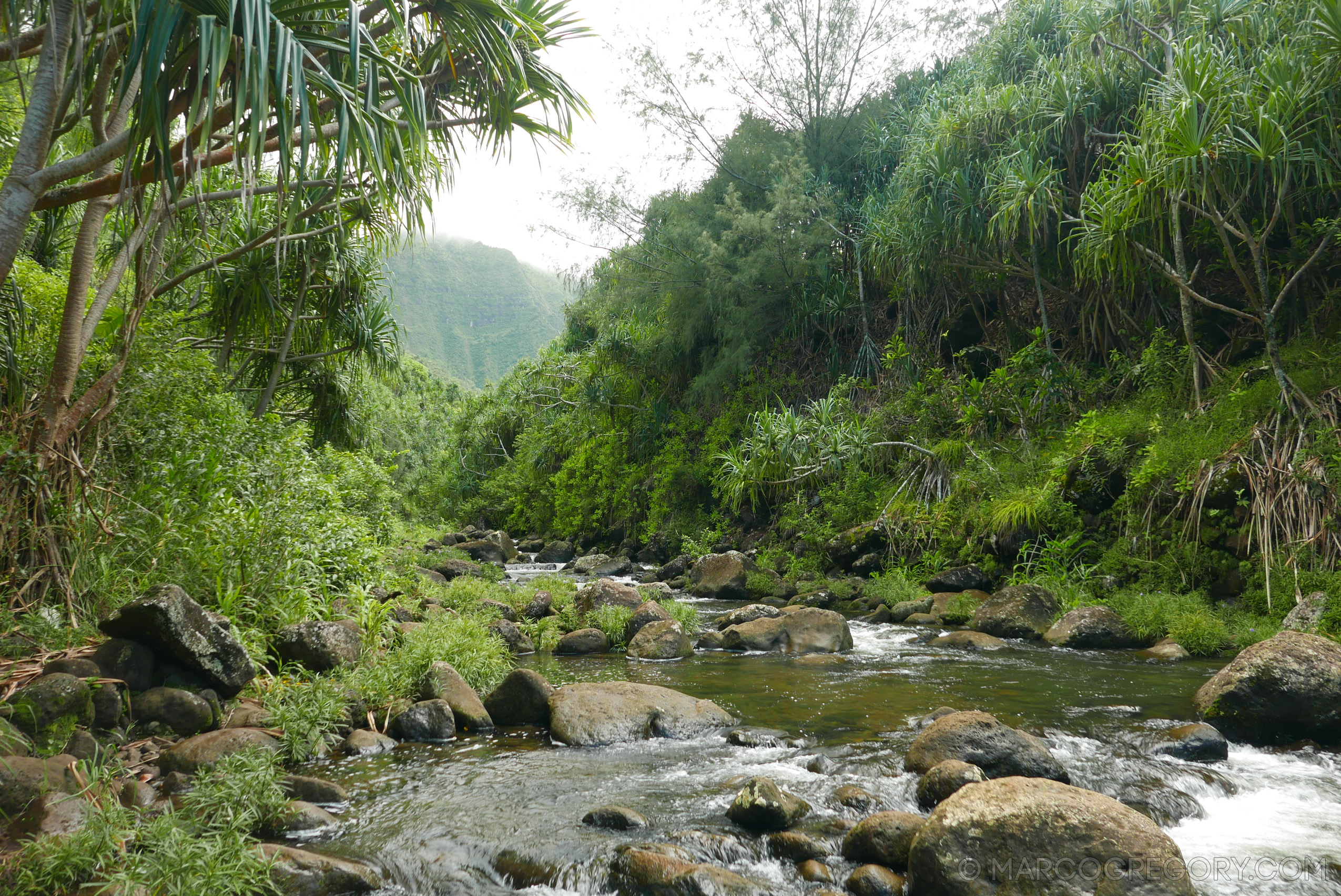 151006 Hawaii 2015 - Photo0138 of 852