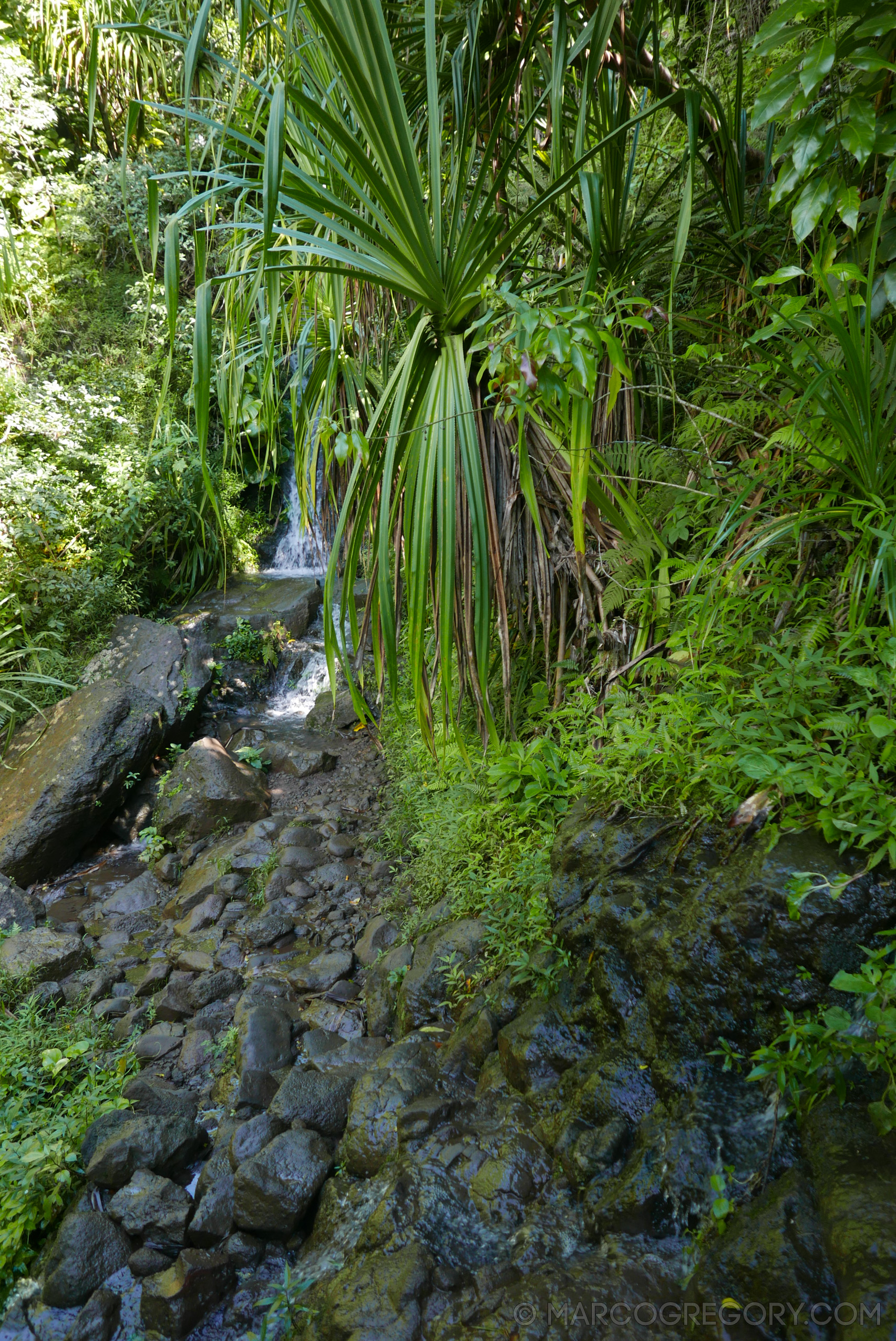 151006 Hawaii 2015 - Photo0145 of 852