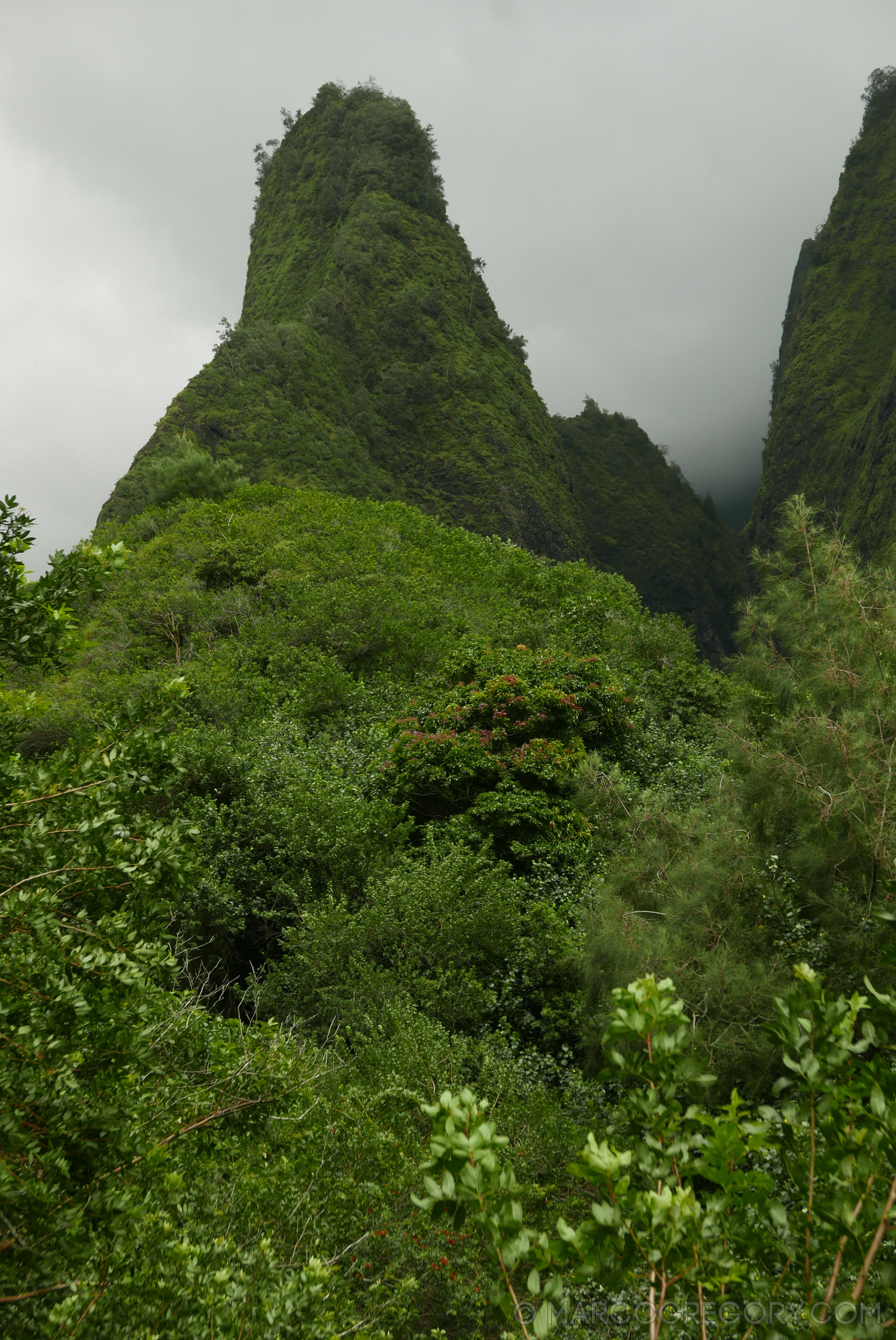 151006 Hawaii 2015 - Photo0275 of 852