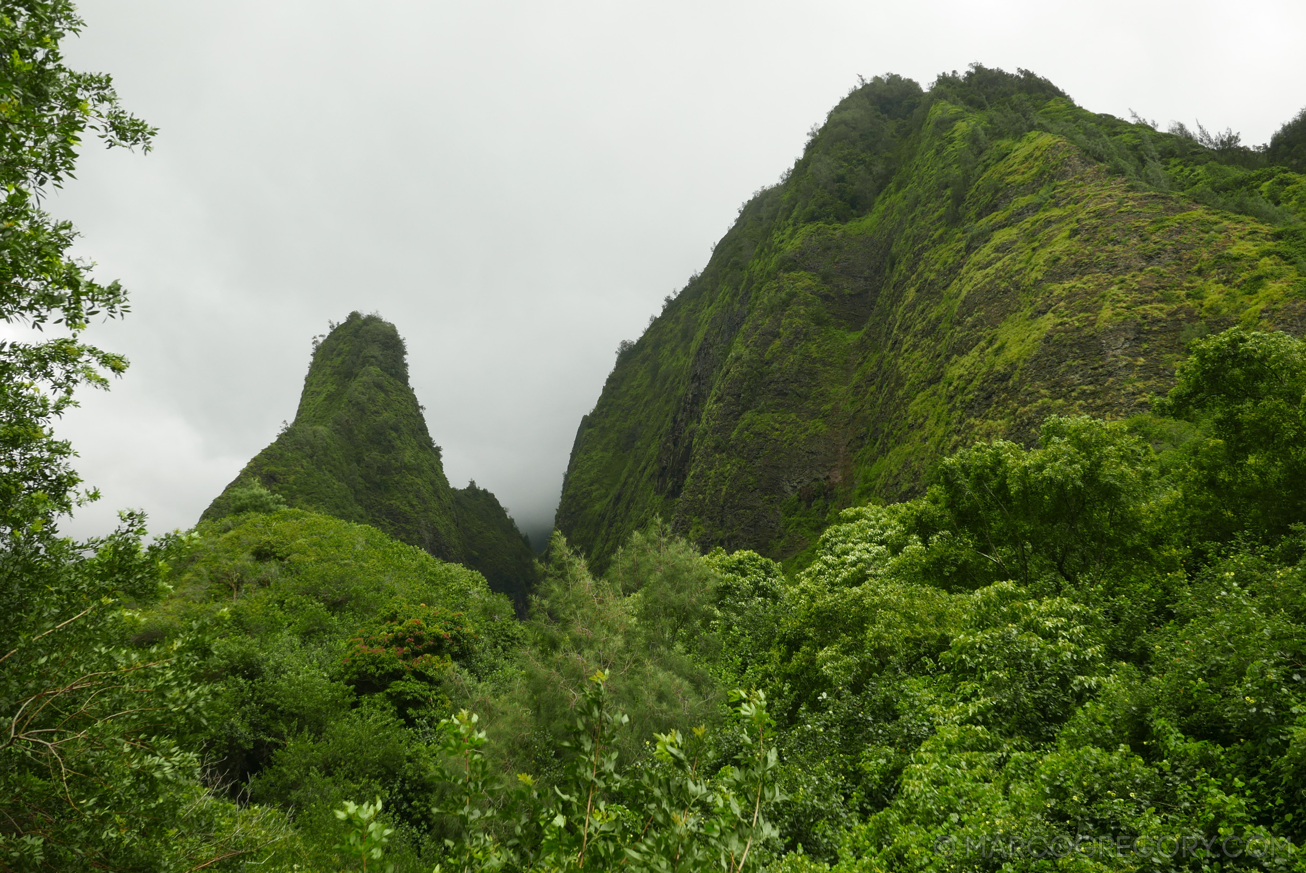 151006 Hawaii 2015 - Photo0276 of 852