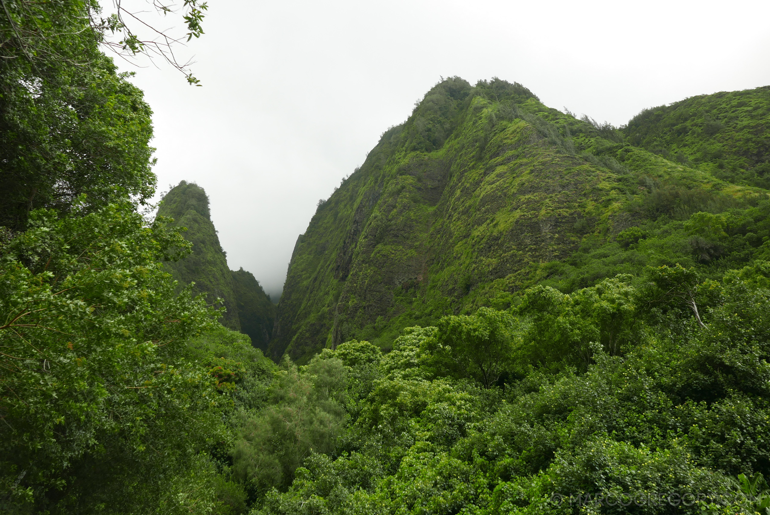 151006 Hawaii 2015 - Photo0284 of 852