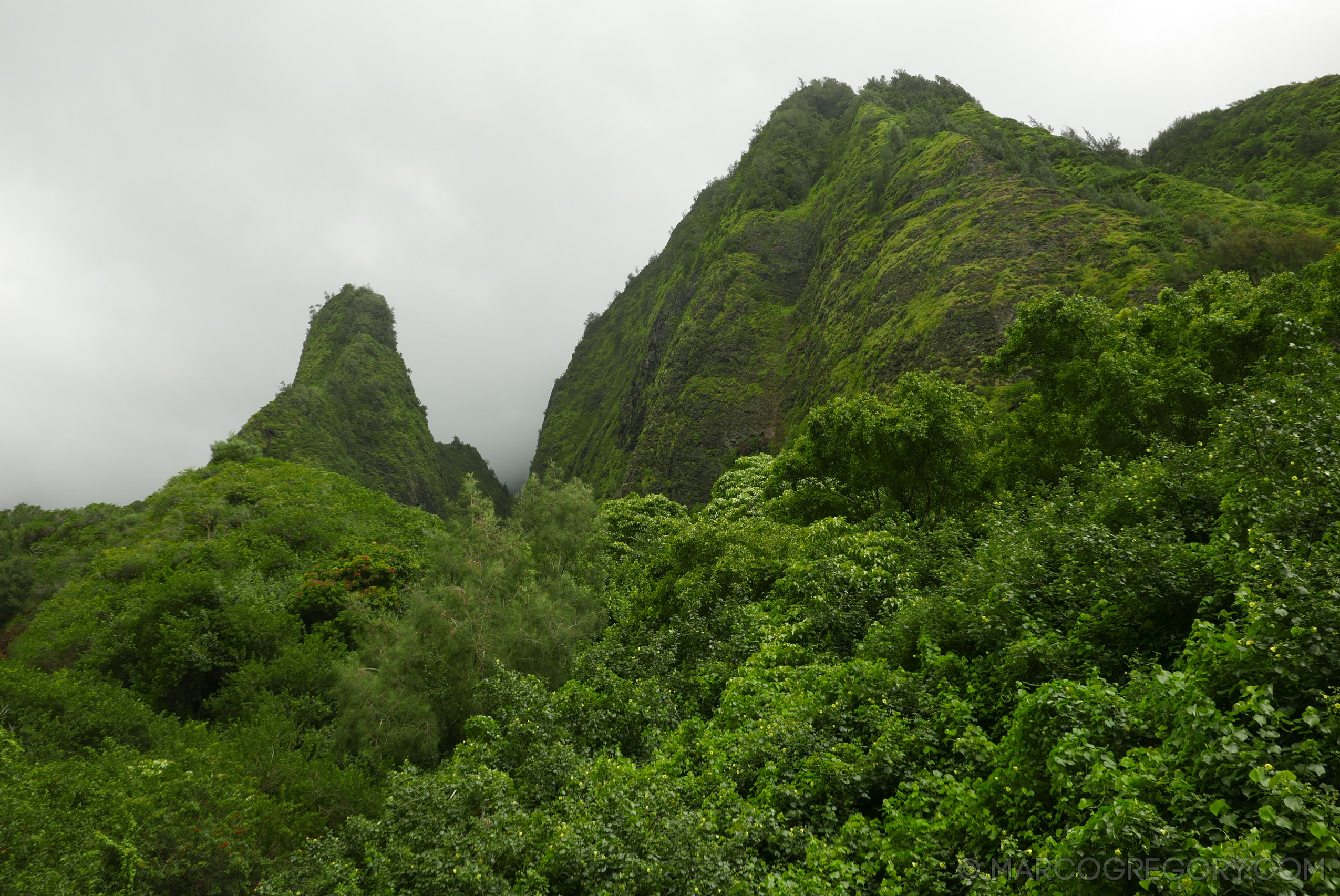 151006 Hawaii 2015 - Photo0286 of 852