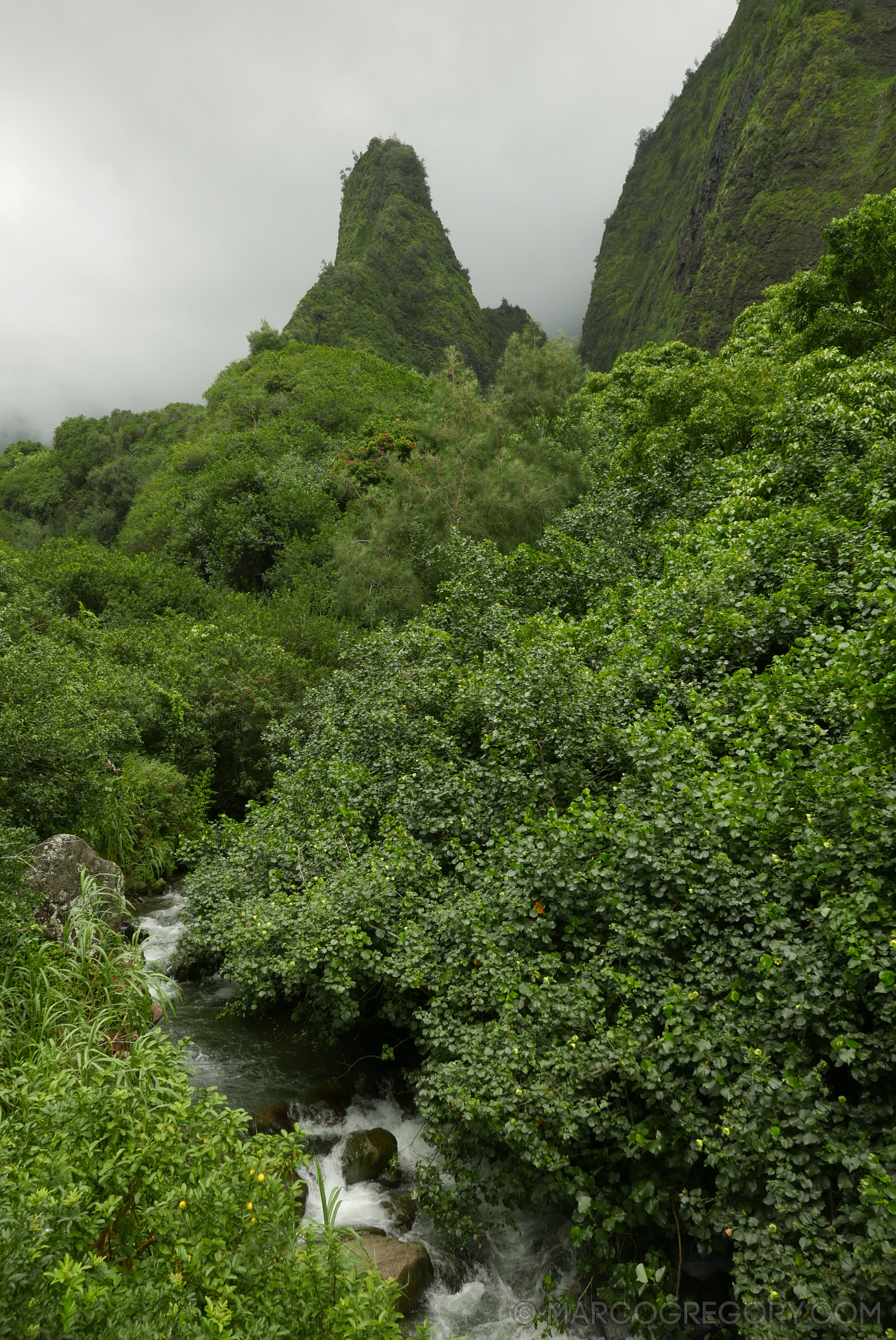 151006 Hawaii 2015 - Photo0287 of 852