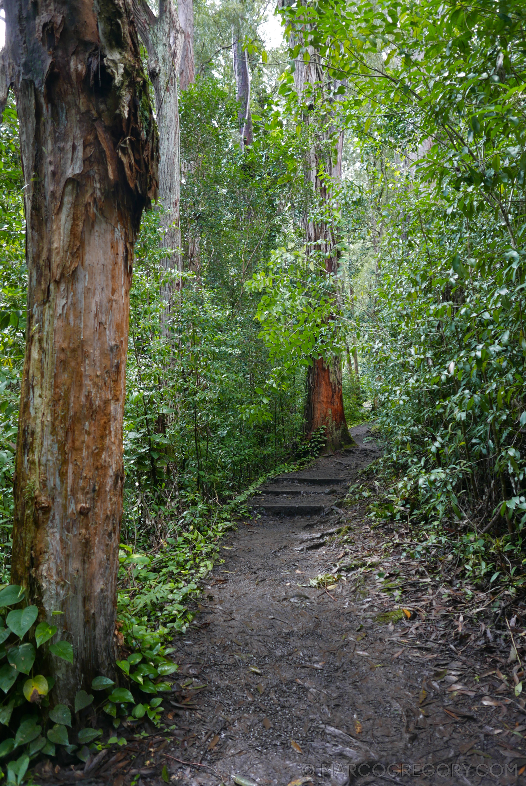 151006 Hawaii 2015 - Photo0353 of 852