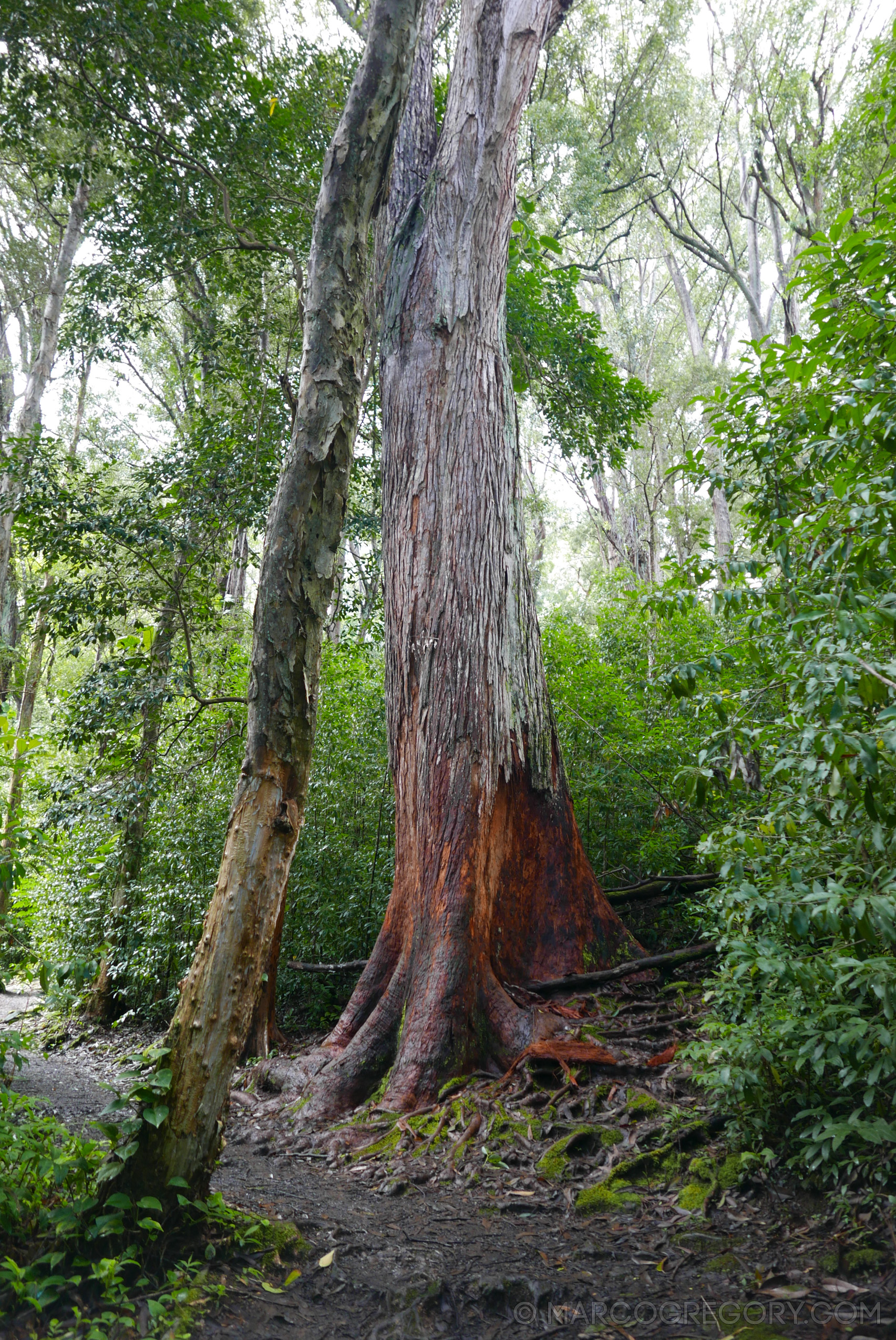 151006 Hawaii 2015 - Photo0354 of 852