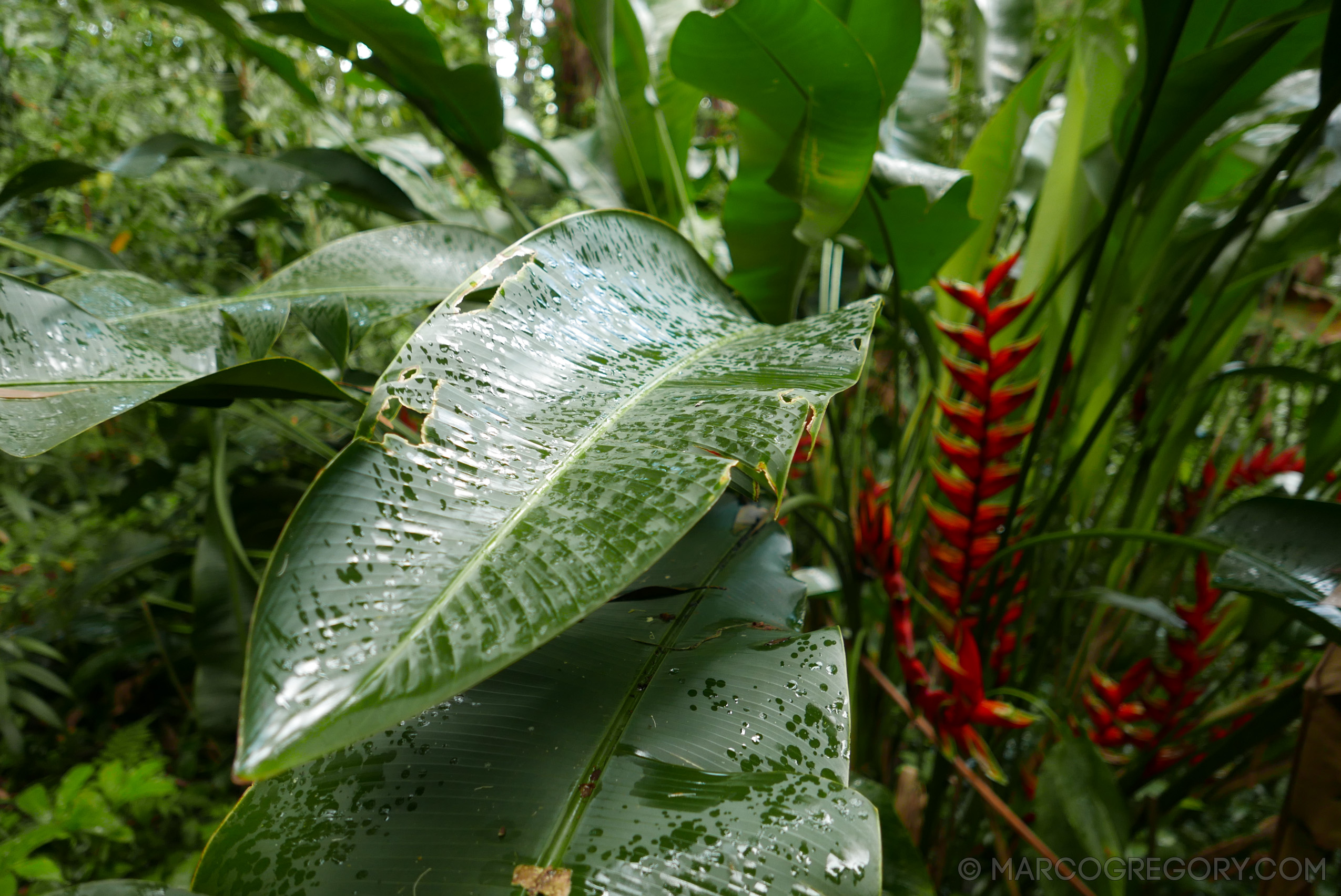 151006 Hawaii 2015 - Photo0357 of 852