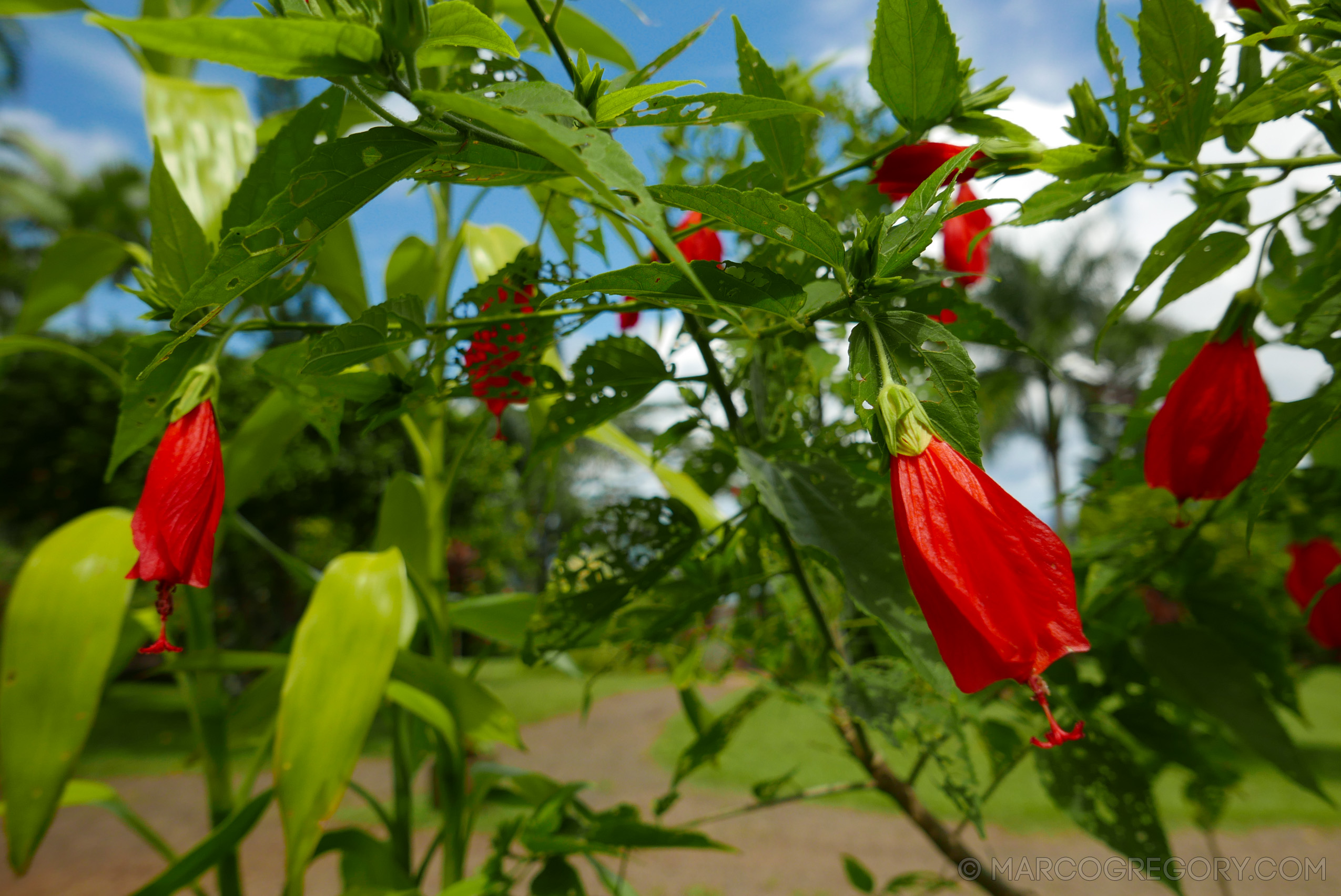 151006 Hawaii 2015 - Photo0375 of 852