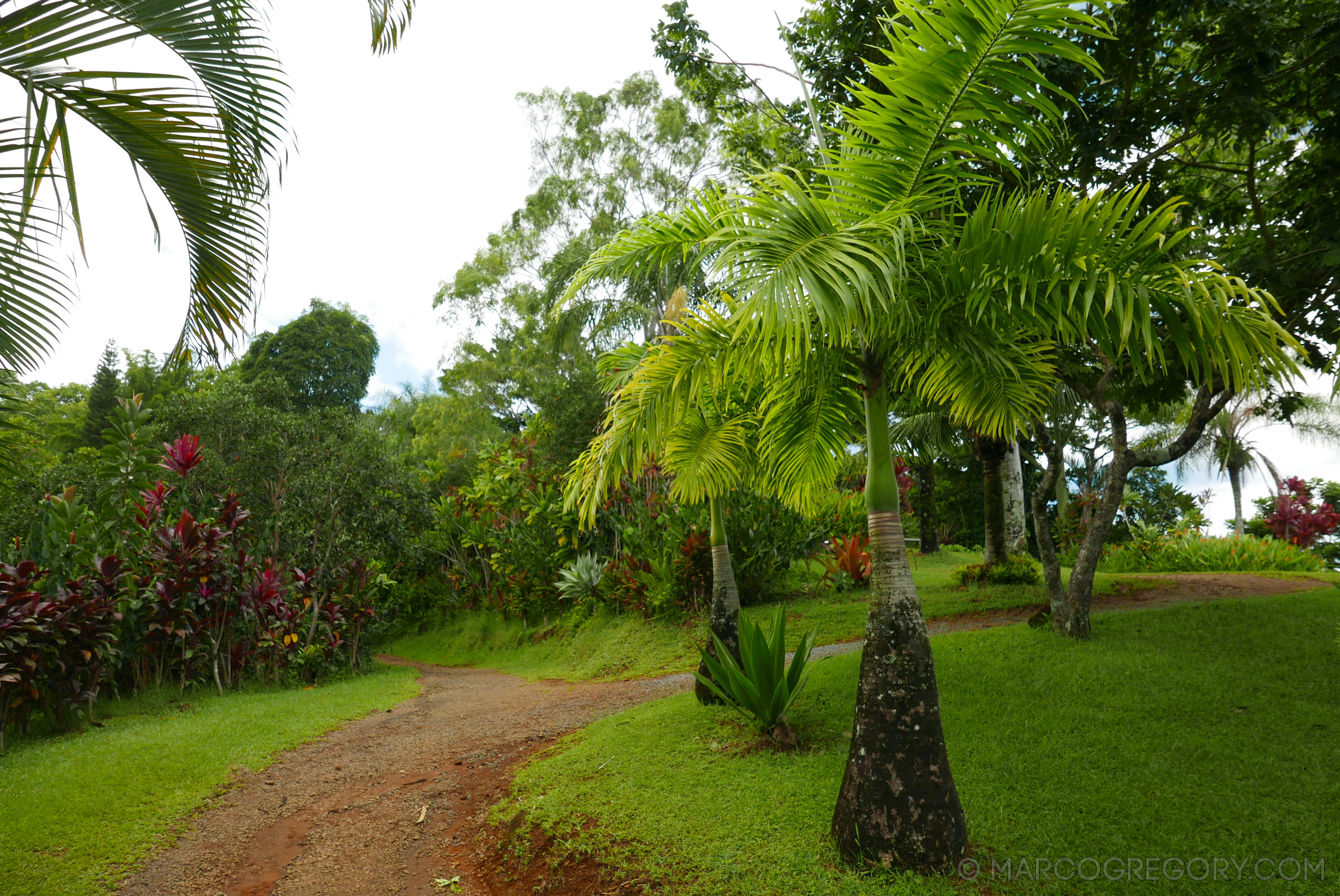 151006 Hawaii 2015 - Photo0382 of 852