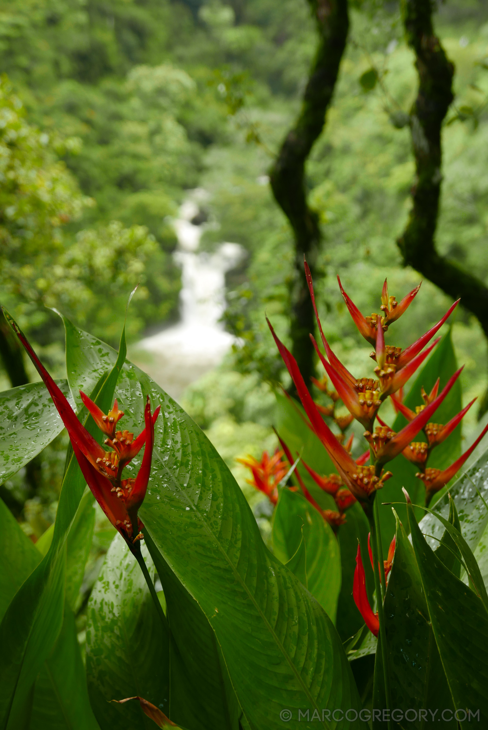 151006 Hawaii 2015 - Photo0392 of 852