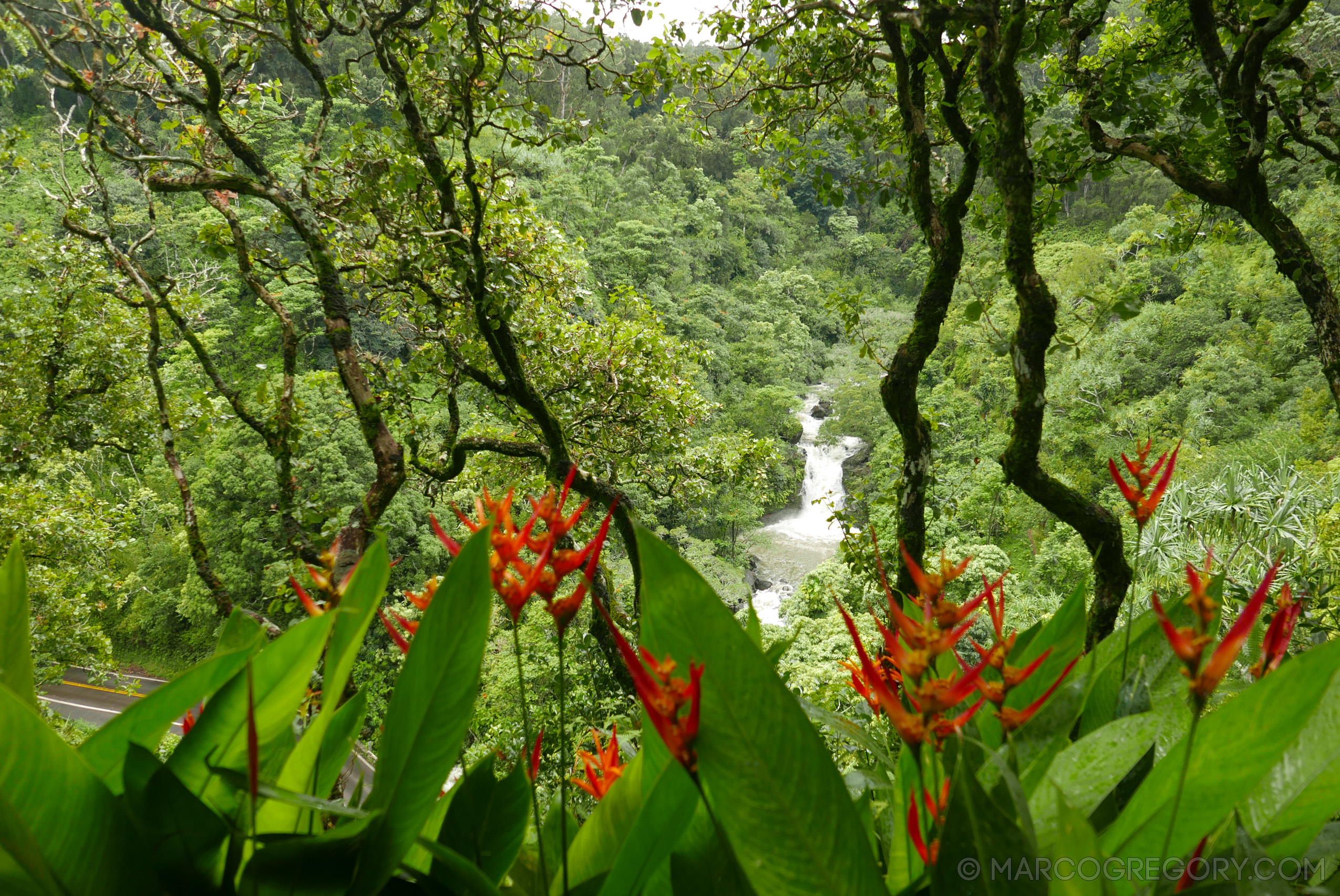 151006 Hawaii 2015 - Photo0394 of 852