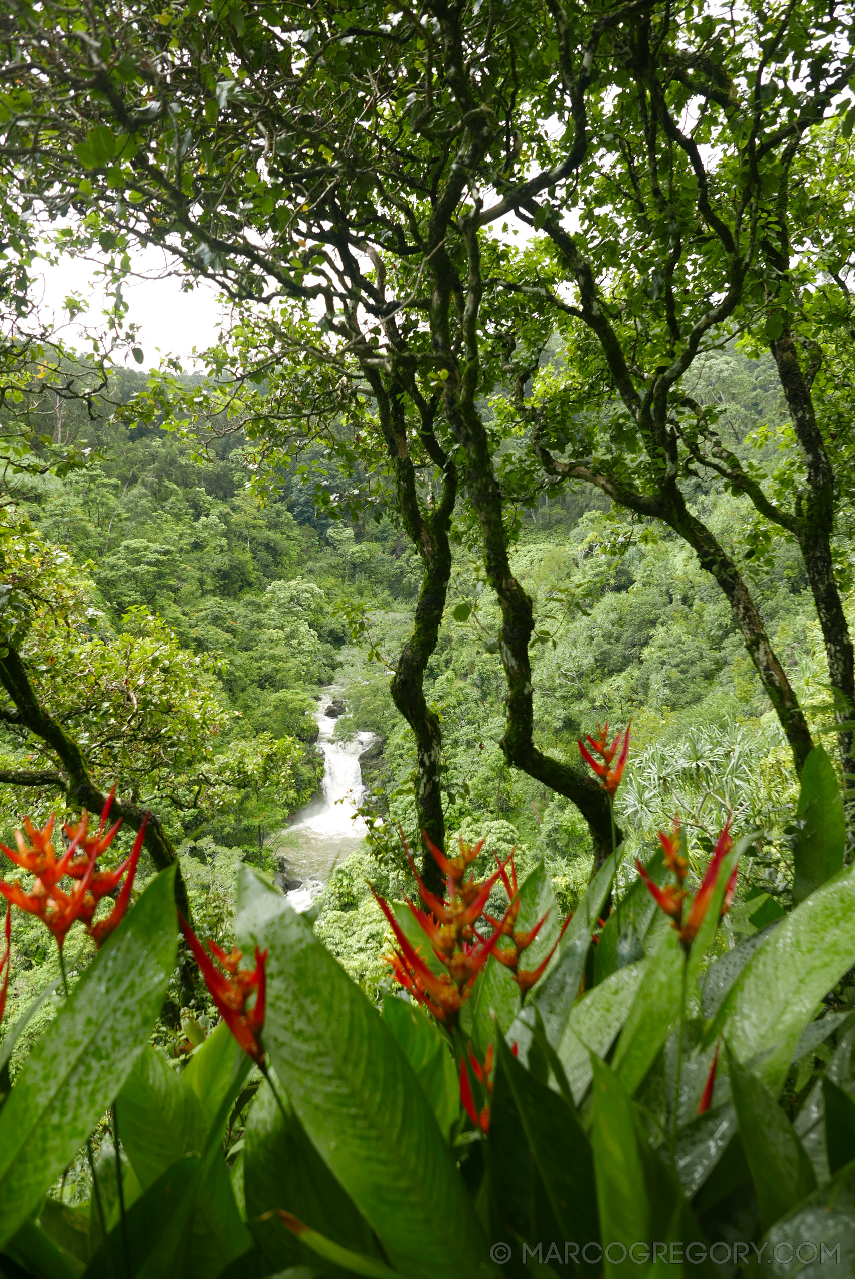 151006 Hawaii 2015 - Photo0395 of 852