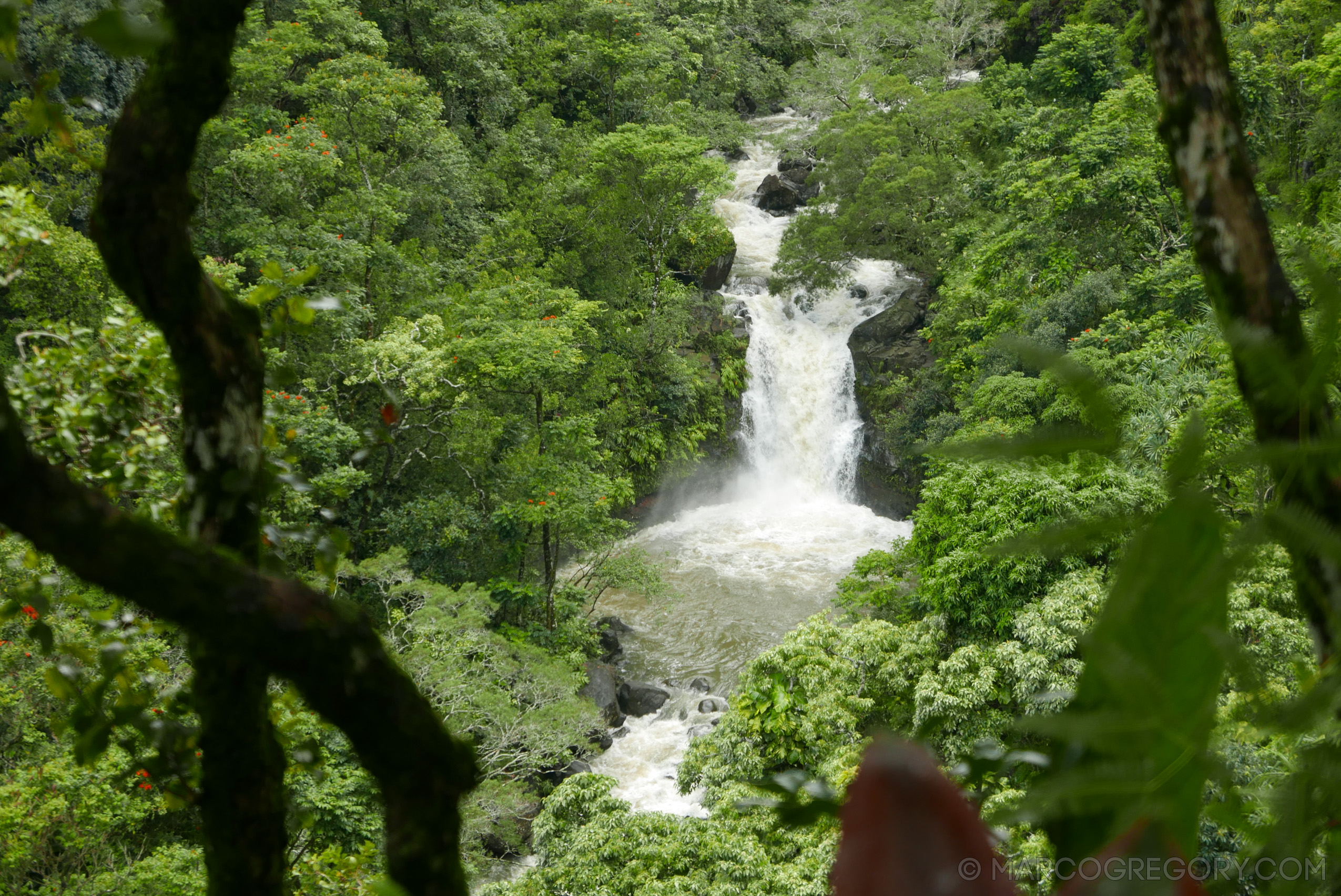 151006 Hawaii 2015 - Photo0397 of 852