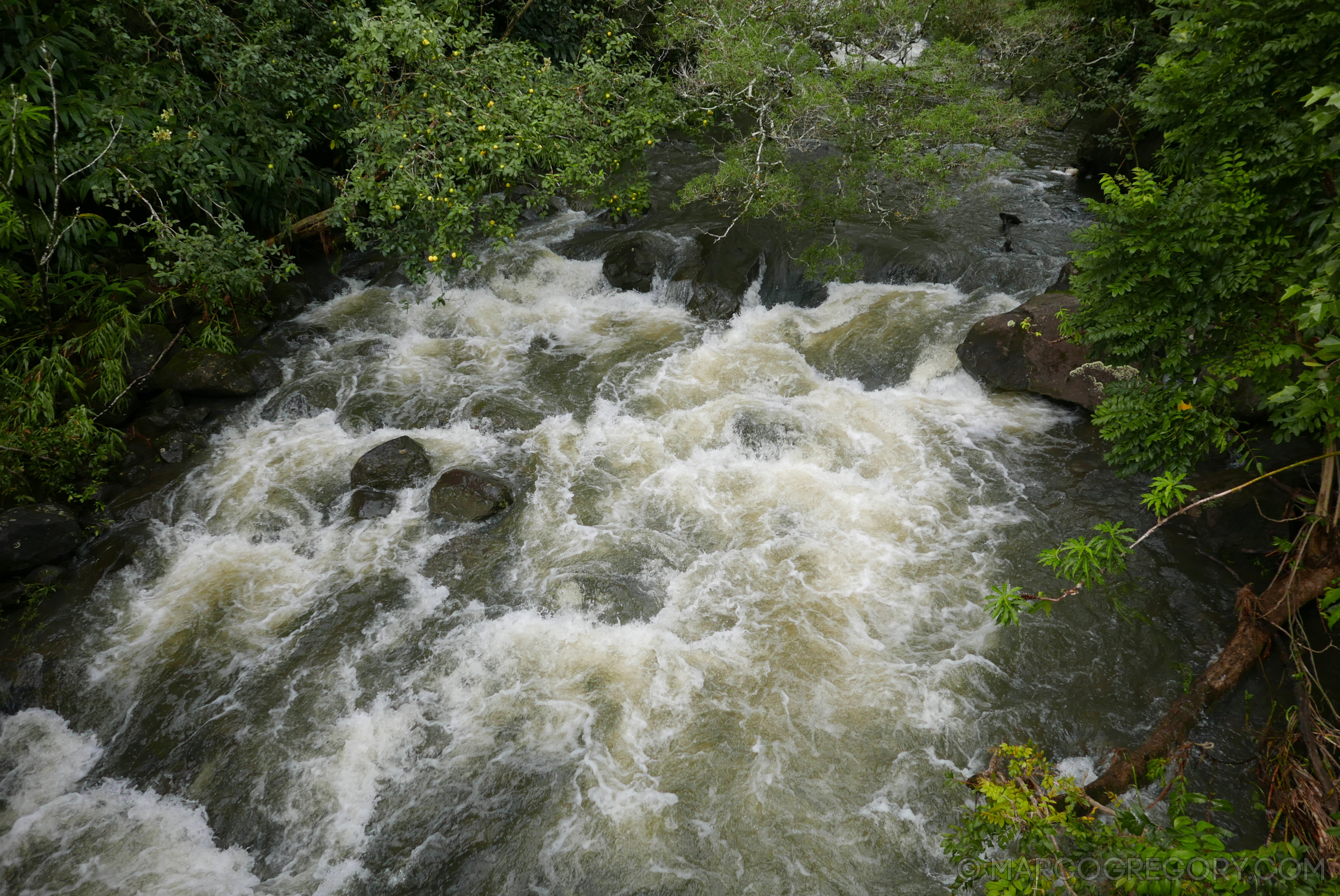 151006 Hawaii 2015 - Photo0403 of 852