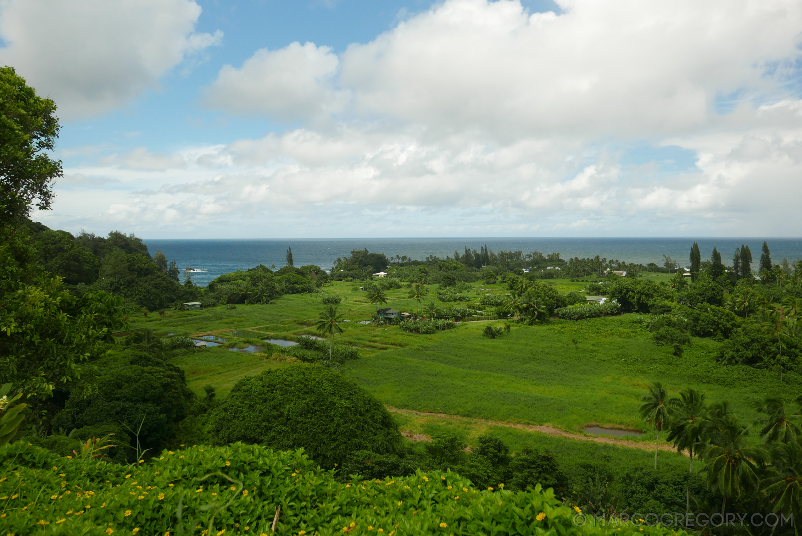 151006 Hawaii 2015 - Photo0406 of 852