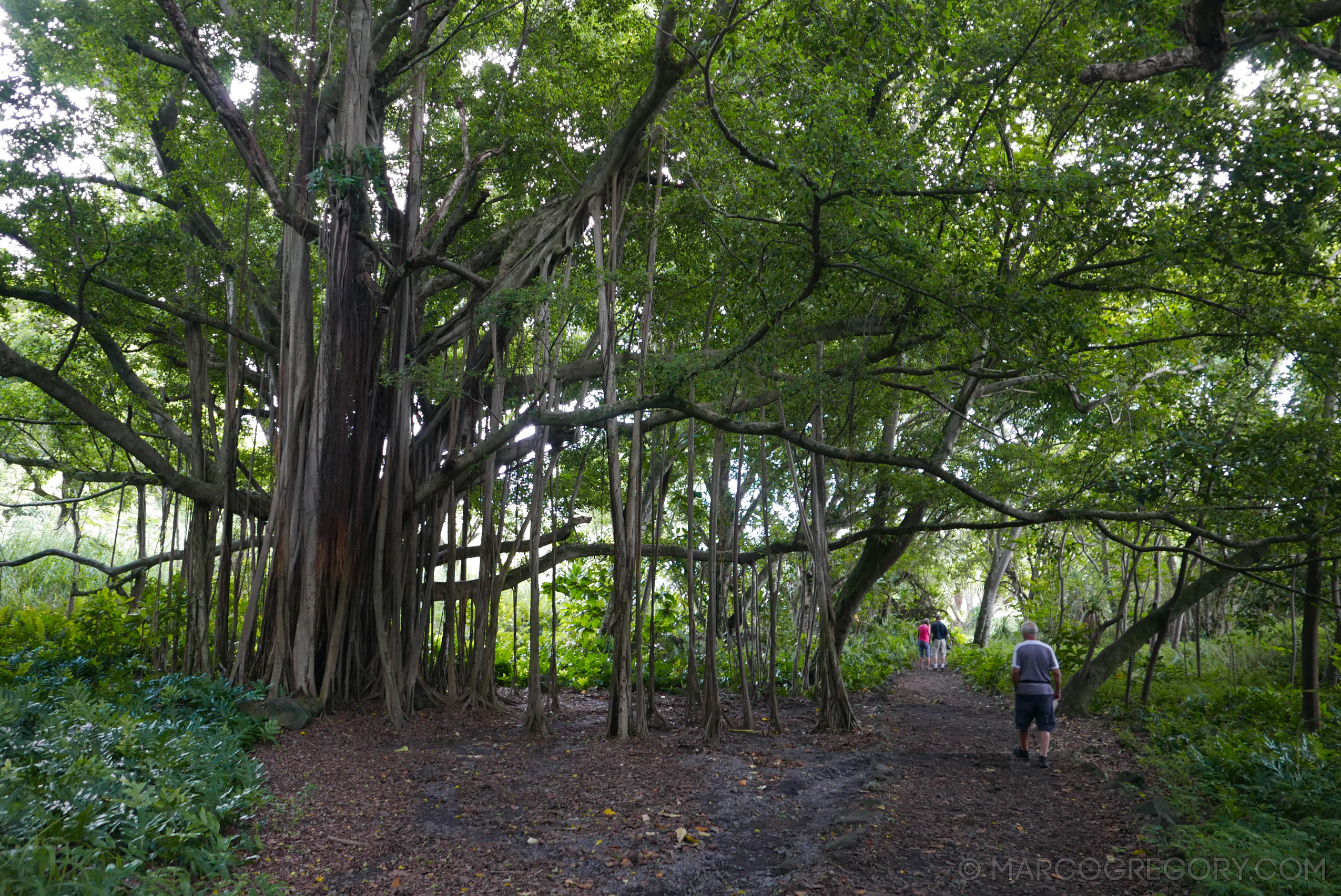 151006 Hawaii 2015 - Photo0417 of 852